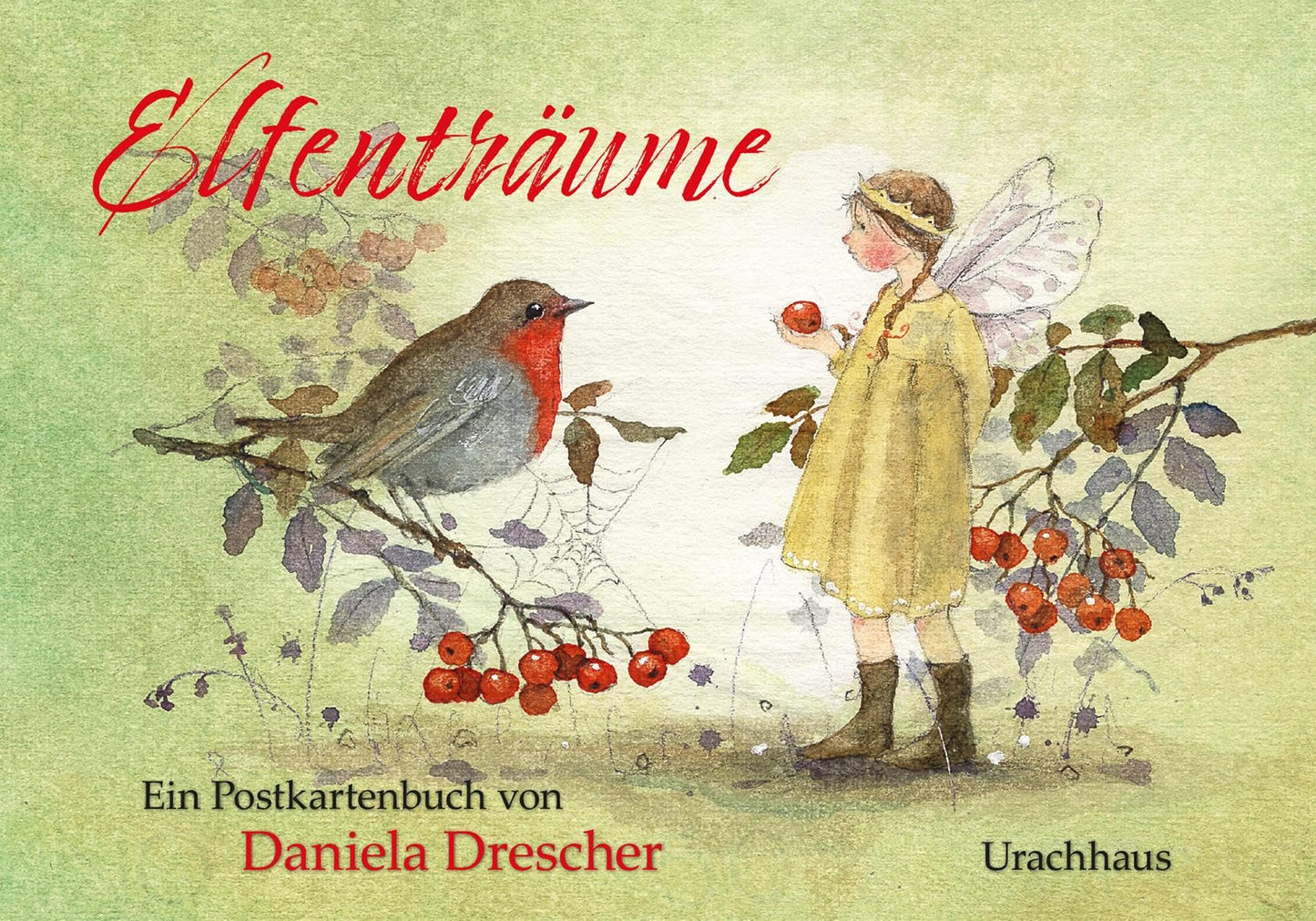Libro: Postkartenbuch "Elfenträume": Ein Postkartenbuch von Daniela Drescher