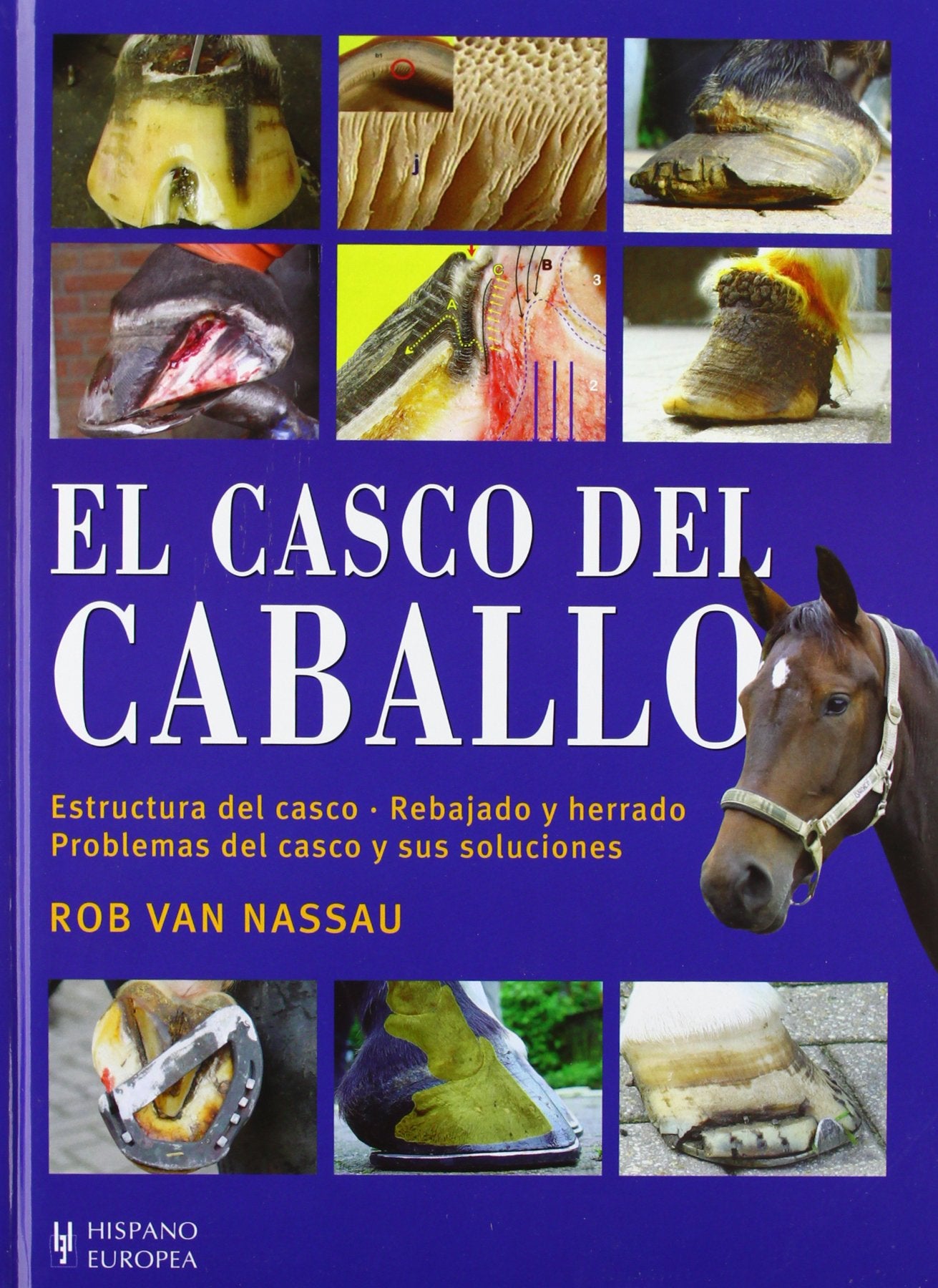 Libro: El casco del caballo (Spanish Edition)