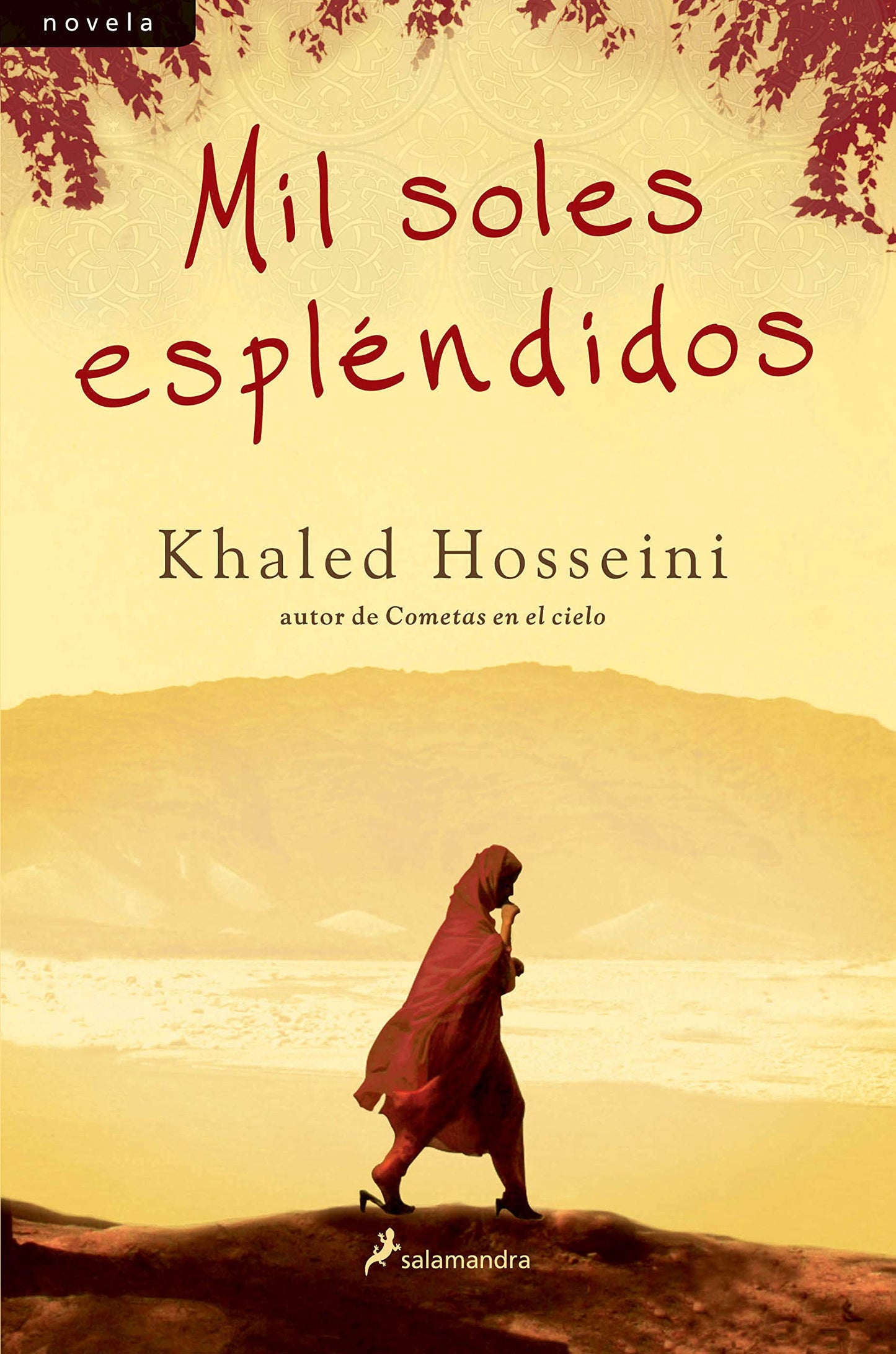 Libro: Mil Soles Espléndidos