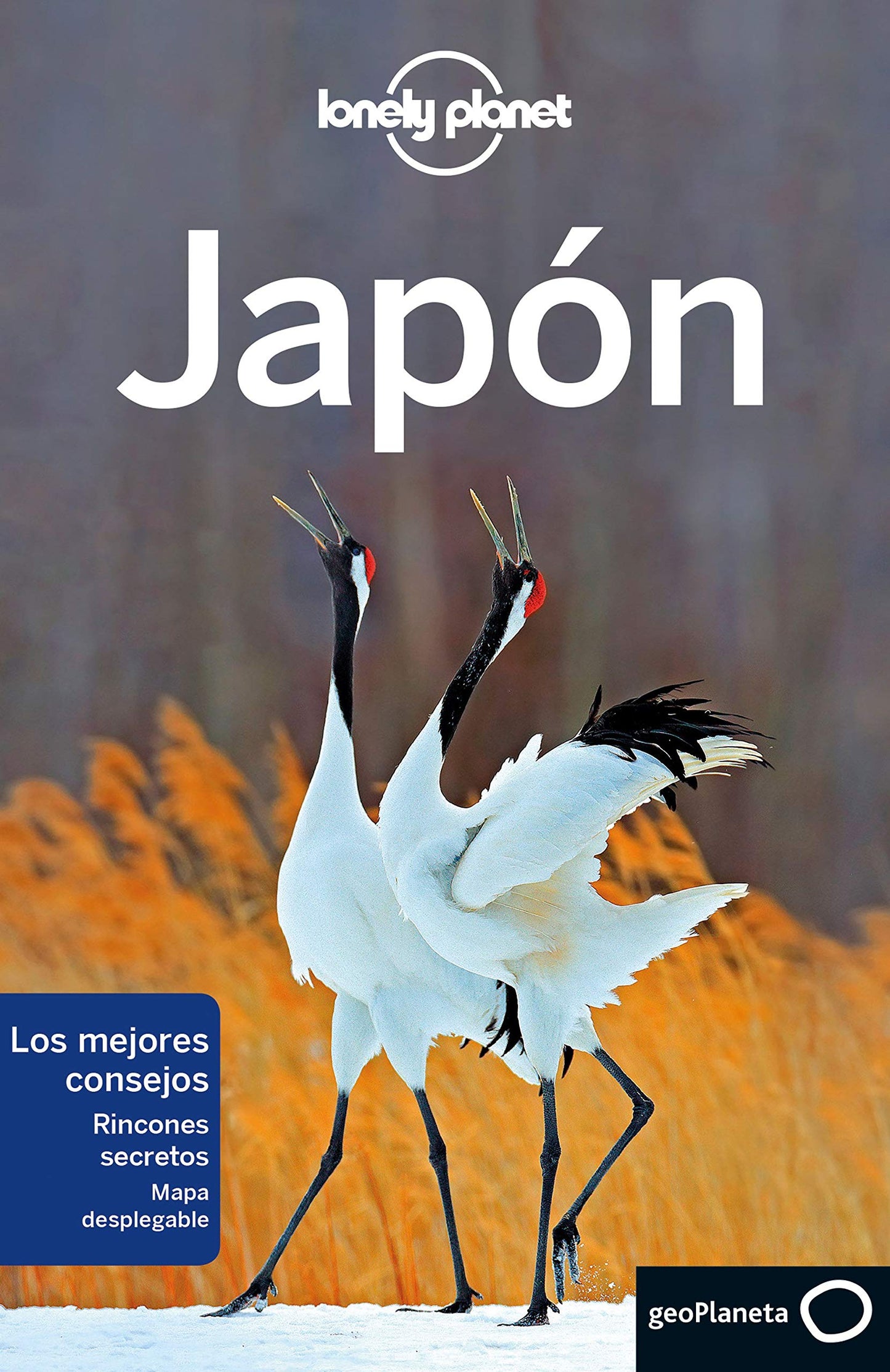Libro: Japón 7 (Guías de País Lonely Planet)