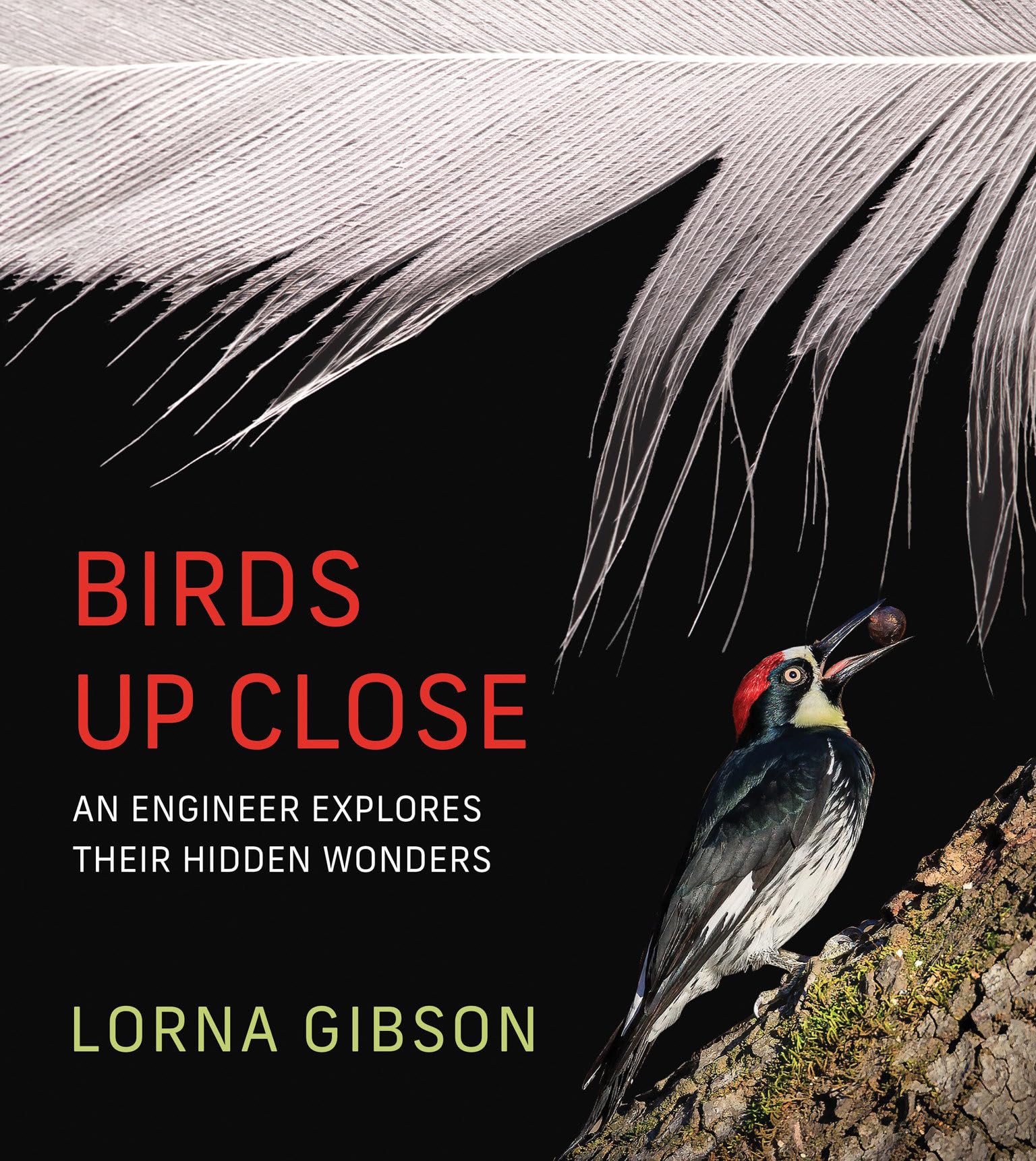 Libro: Birds Up Close: An Engineer Explores Their Hidden Wonders