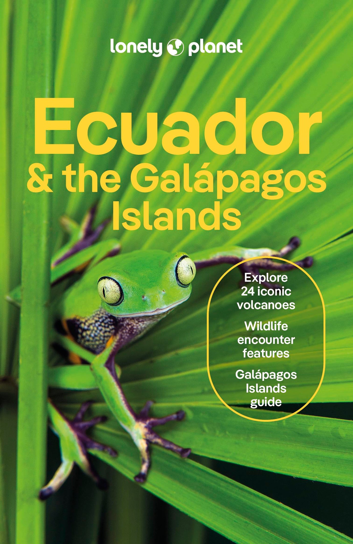 Libro: Lonely Planet Ecuador & the Galapagos Islands: Plan the Trip of a Lifetime | Detailed Itineraries & Maps | Insider Tips | Covers Quito, Northern Highlands, Oriente and more (Travel Guide)