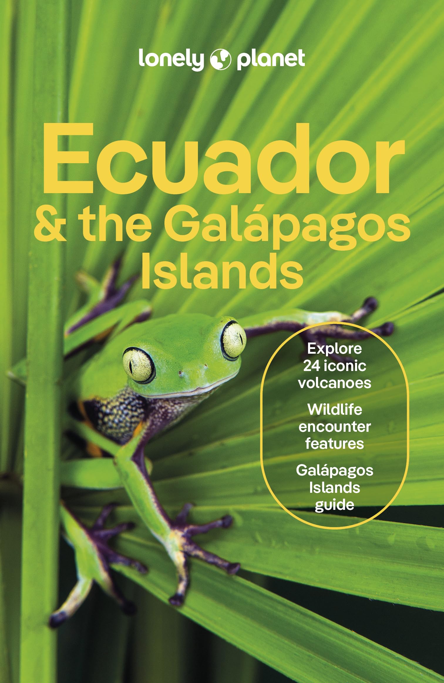 Libro: Lonely Planet Ecuador & the Galapagos Islands: Plan the Trip of a Lifetime | Detailed Itineraries & Maps | Insider Tips | Covers Quito, Northern Highlands, Oriente and more (Travel Guide)