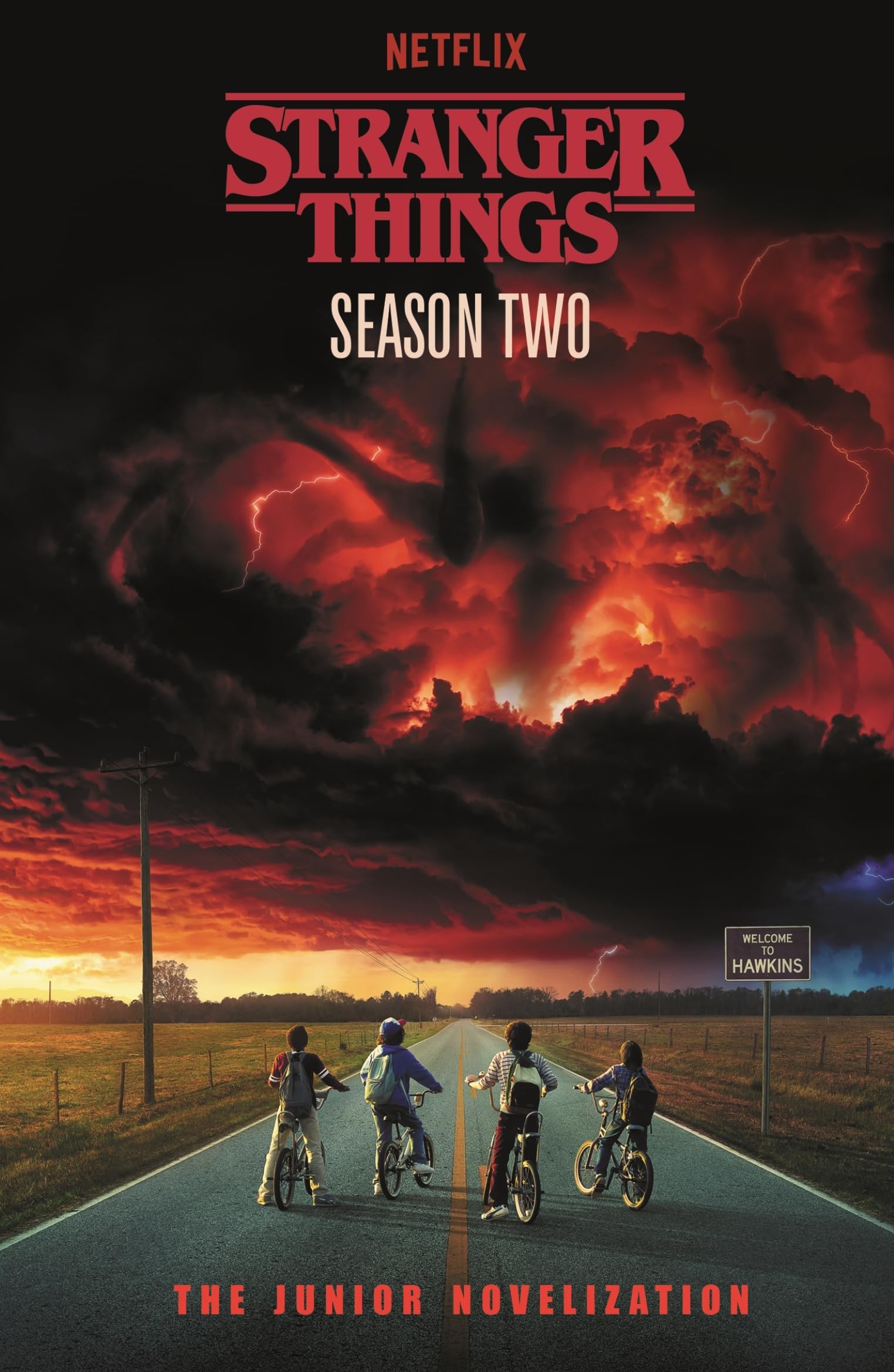 Libro: Stranger Things: Season Two: A retelling of the iconic Netflix series