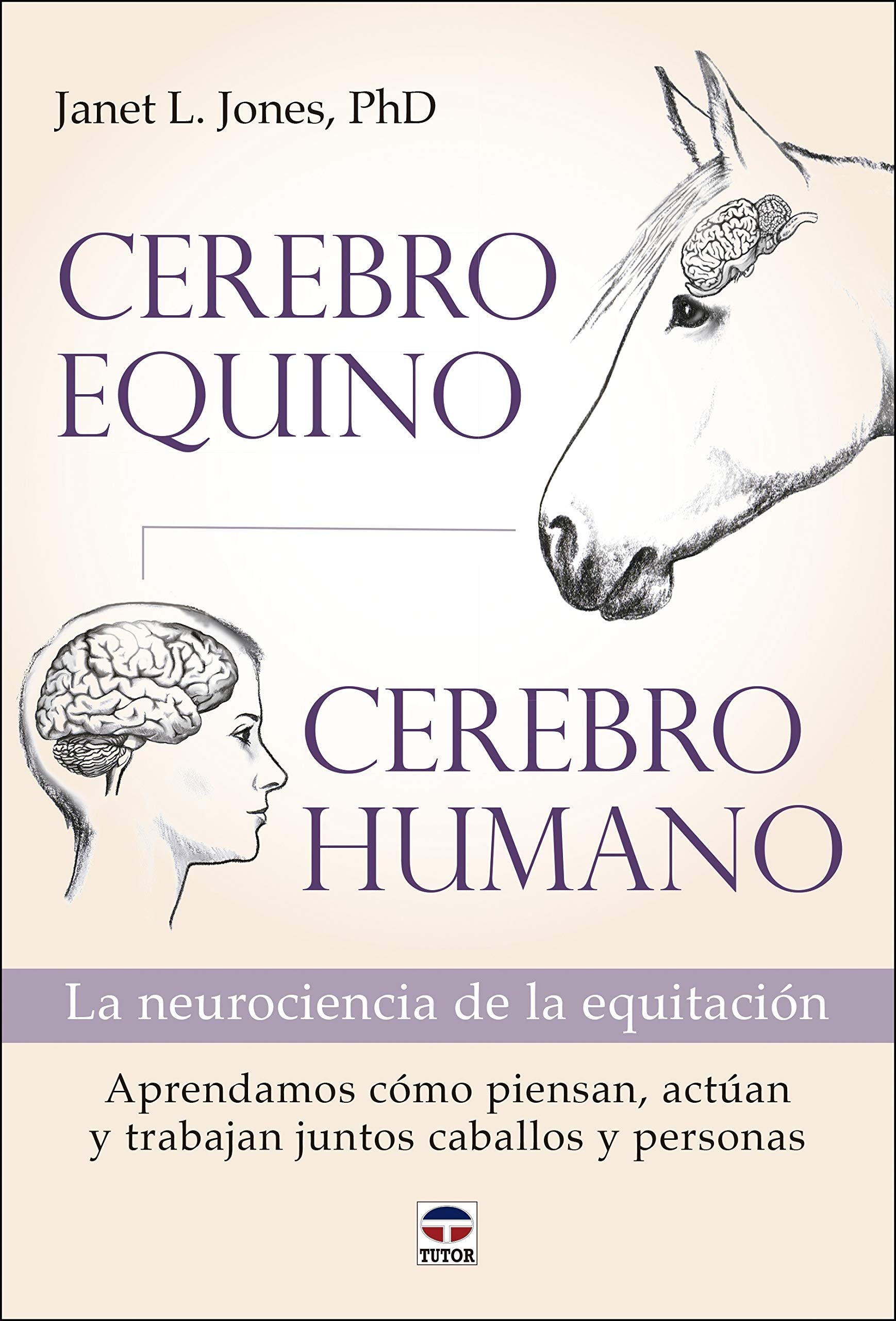 Libro: Cerebro equino, cerebro humano: La neurociencia de la equitación (SIN COLECCION)