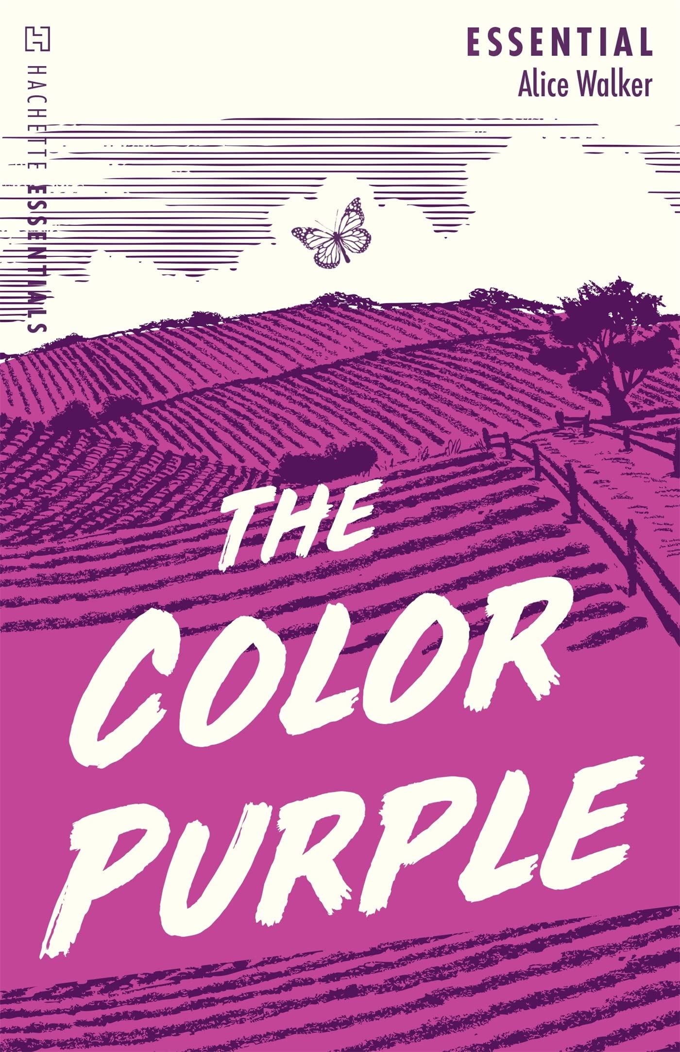 Libro: The Color Purple: Hachette Essentials