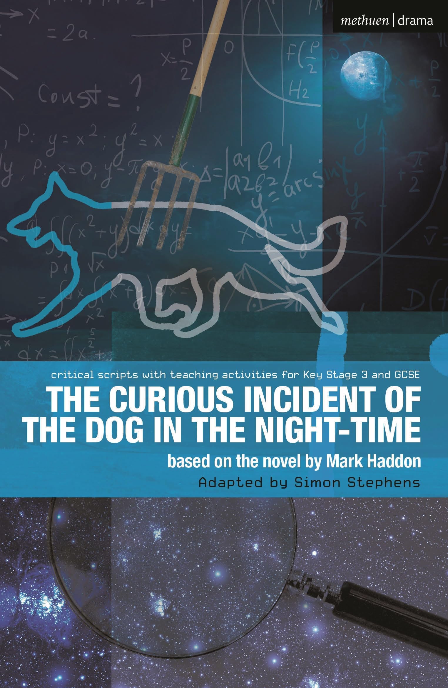 Libro: The Curious Incident of the Dog in the Night-Time: The Play (Critical Scripts)