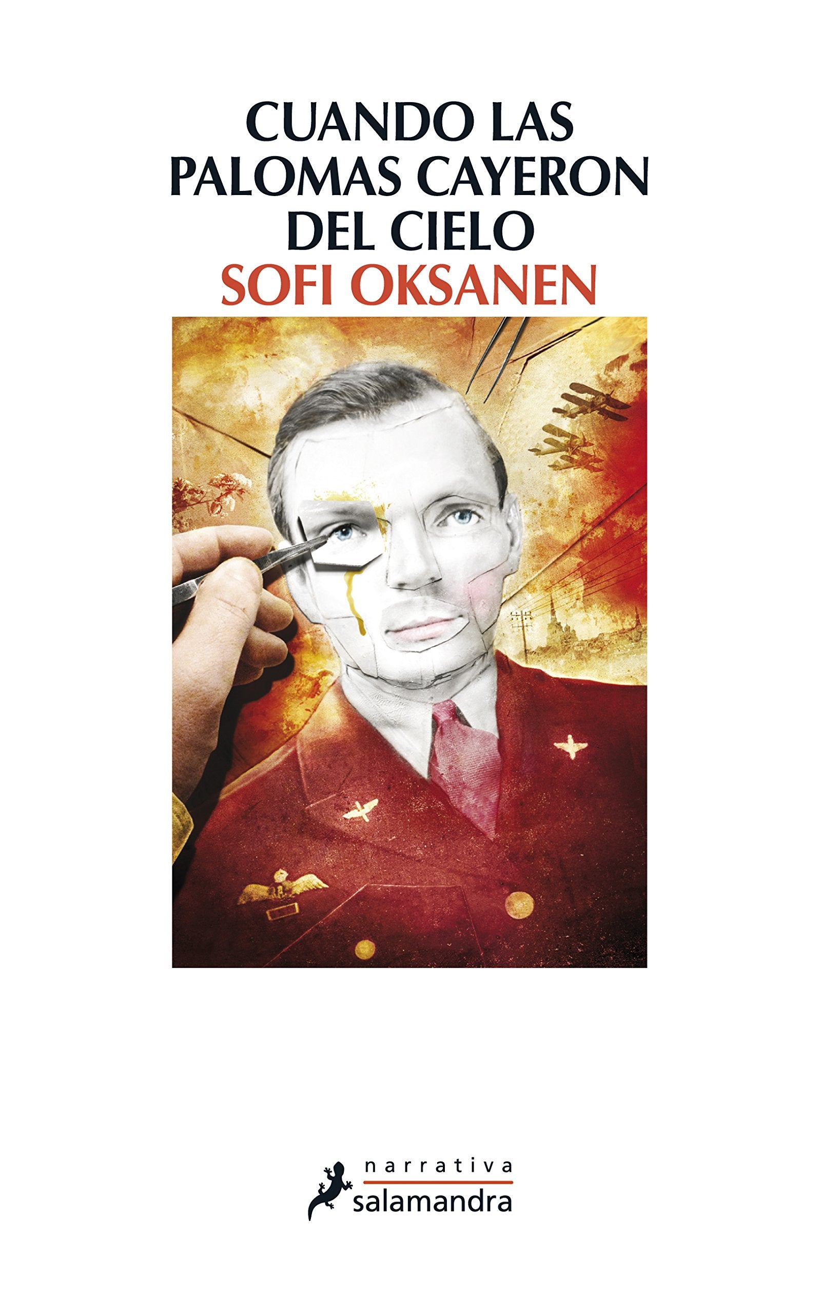 Libro: Cuando las palomas cayeron del cielo (Spanish Edition)