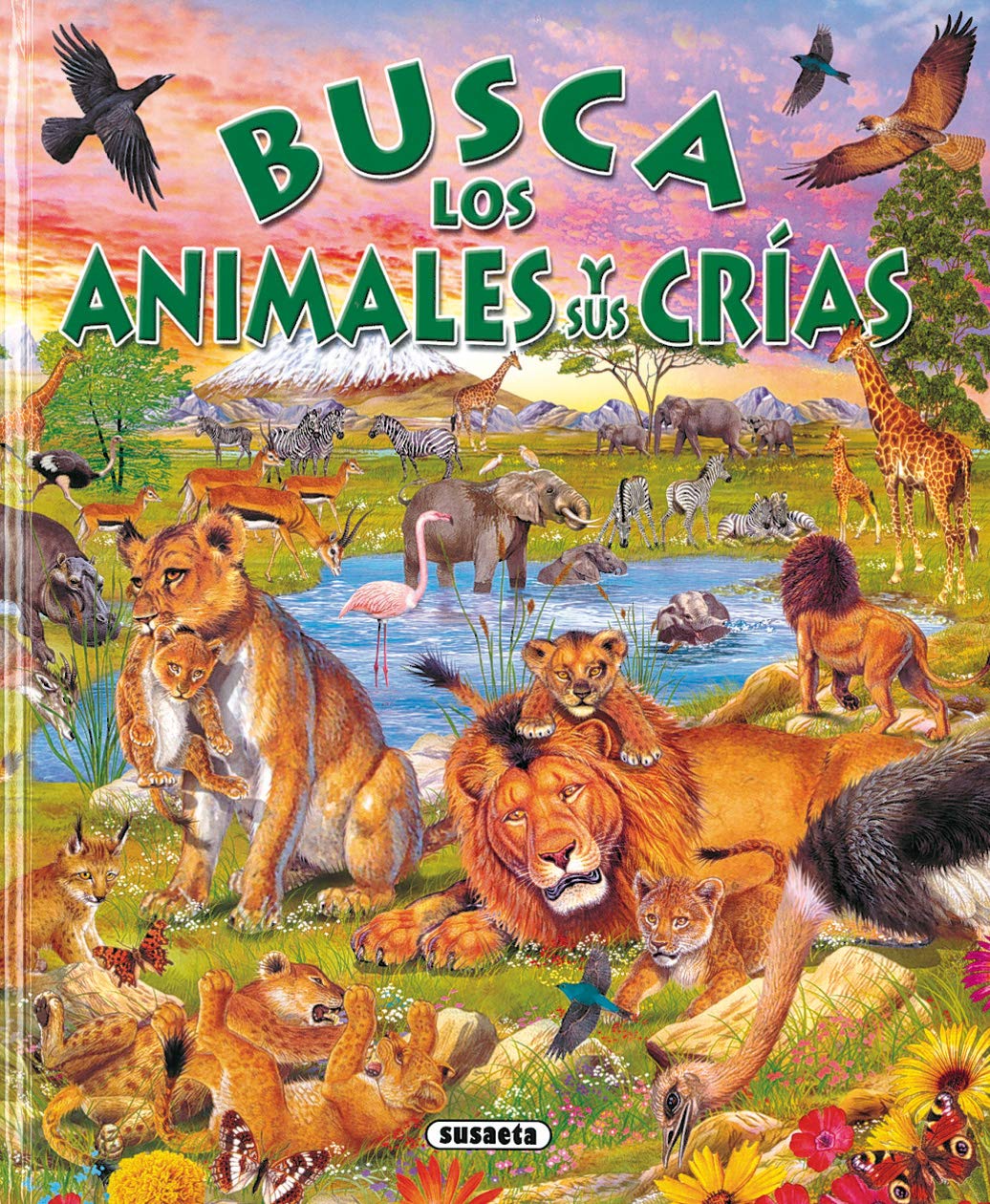 Libro: Busca Animales Y Sus Crias