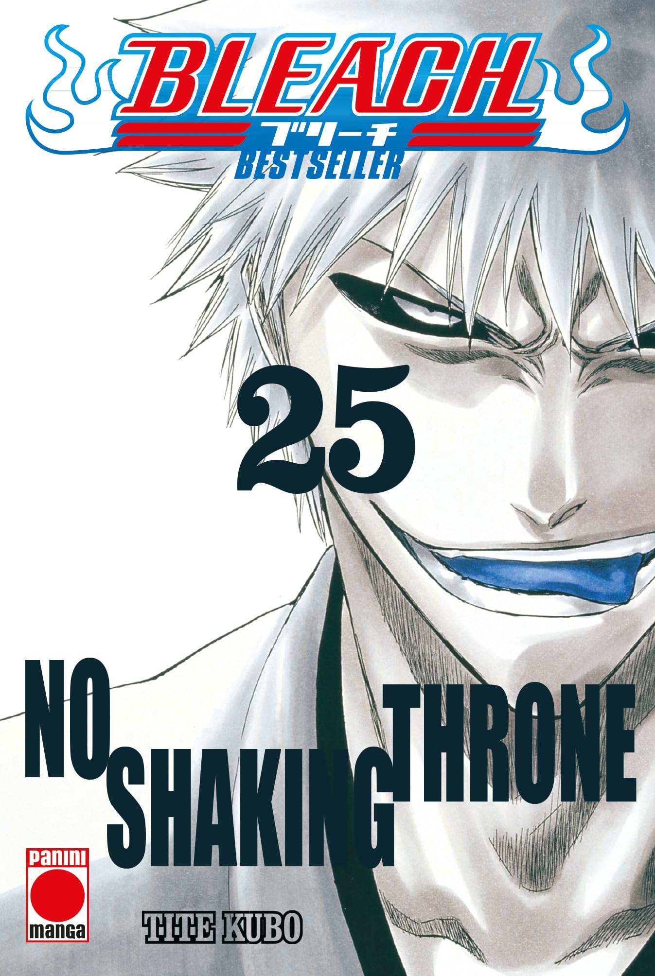 Libro: Bleach bestseller n.25