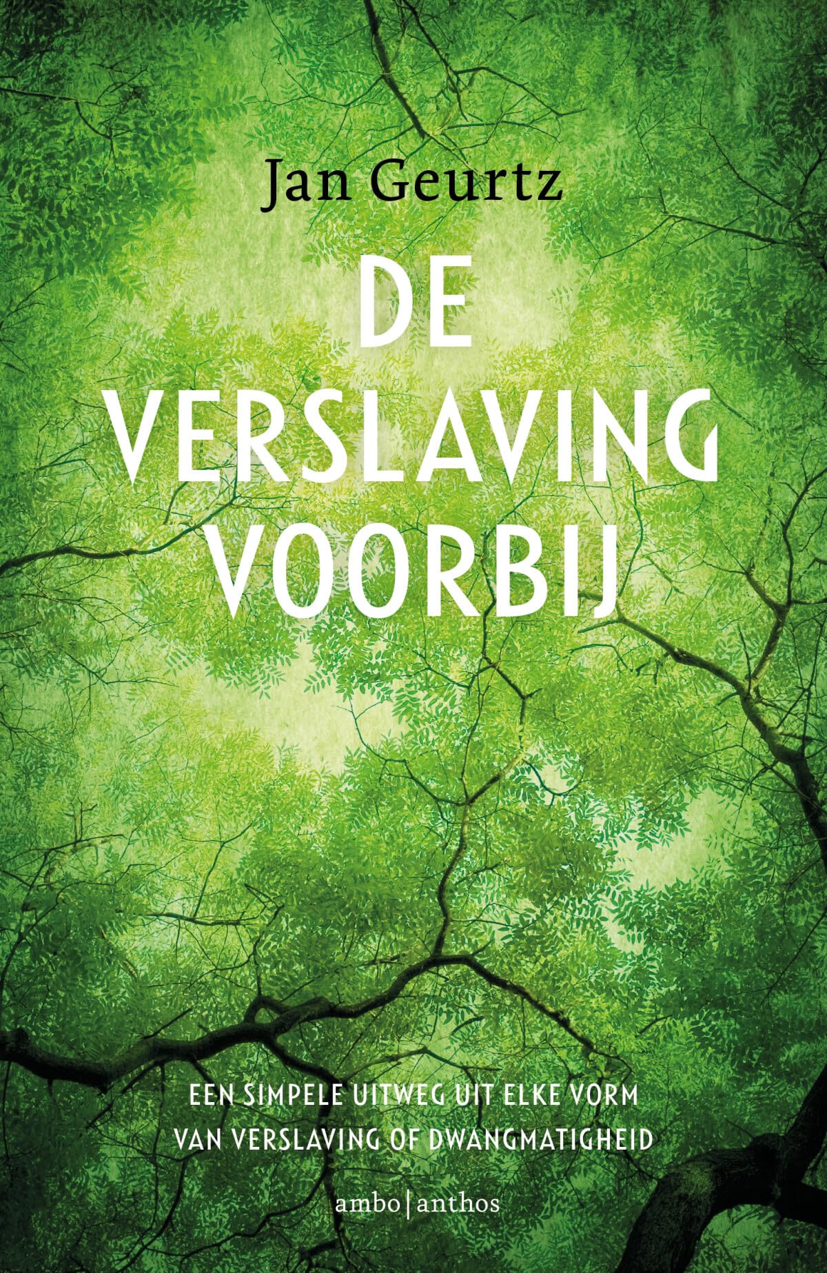 Libro: De verslaving voorbij: een simpele uitweg uit elke vorm van verslaving of dwangmatigheid