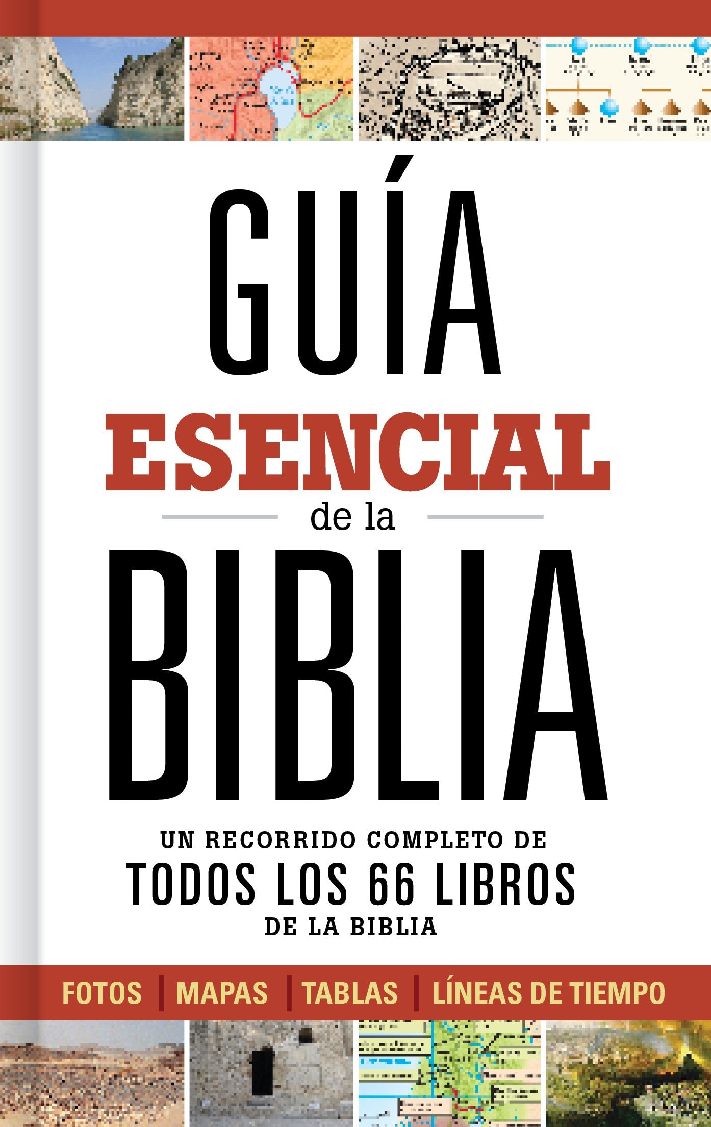 Libro: Guía esencial de la Biblia | Ultimate Bible Guide (Spanish Edition)