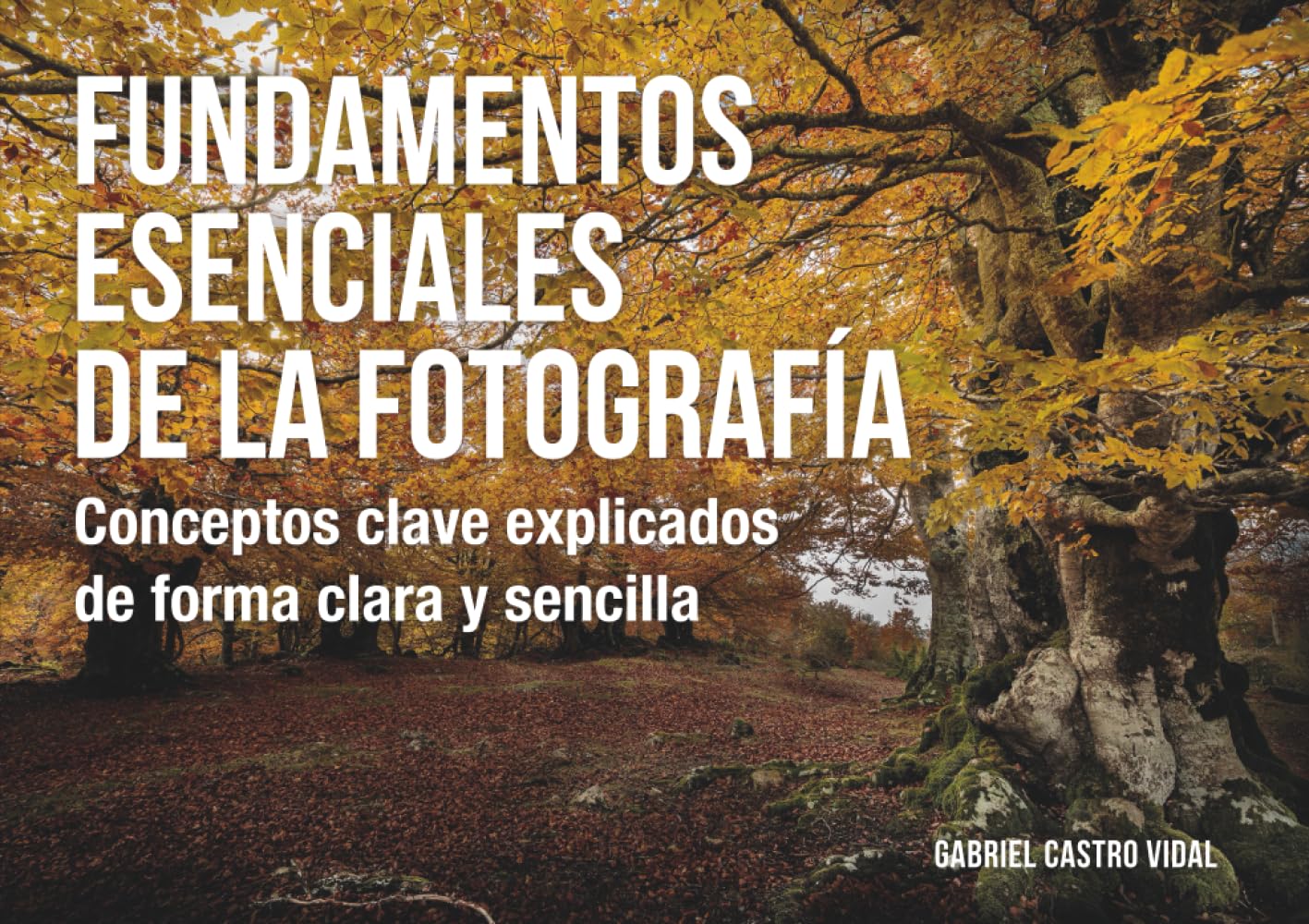 Libro: Fundamentos esenciales de la fotografía: Conceptos clave explicados de forma clara y sencilla (Fotografía Paso a Paso)