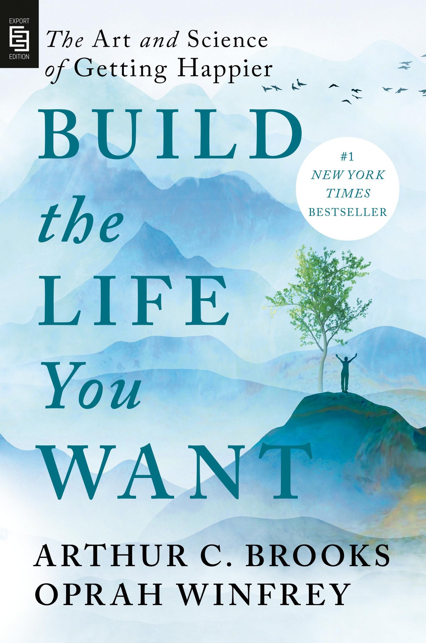 Libro: Build the Life You Want