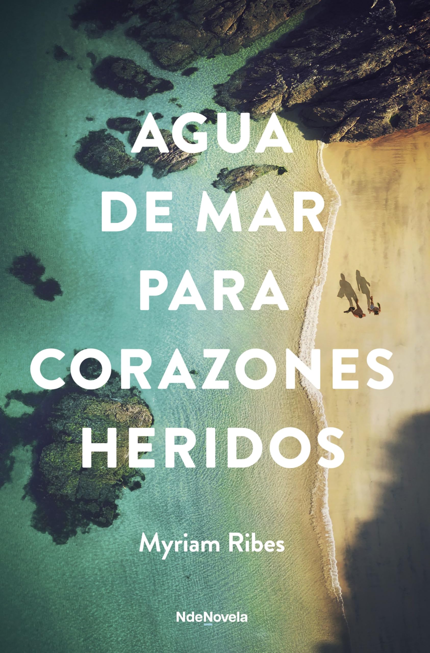 Agua de mar para corazones heridos (NdeNovela)