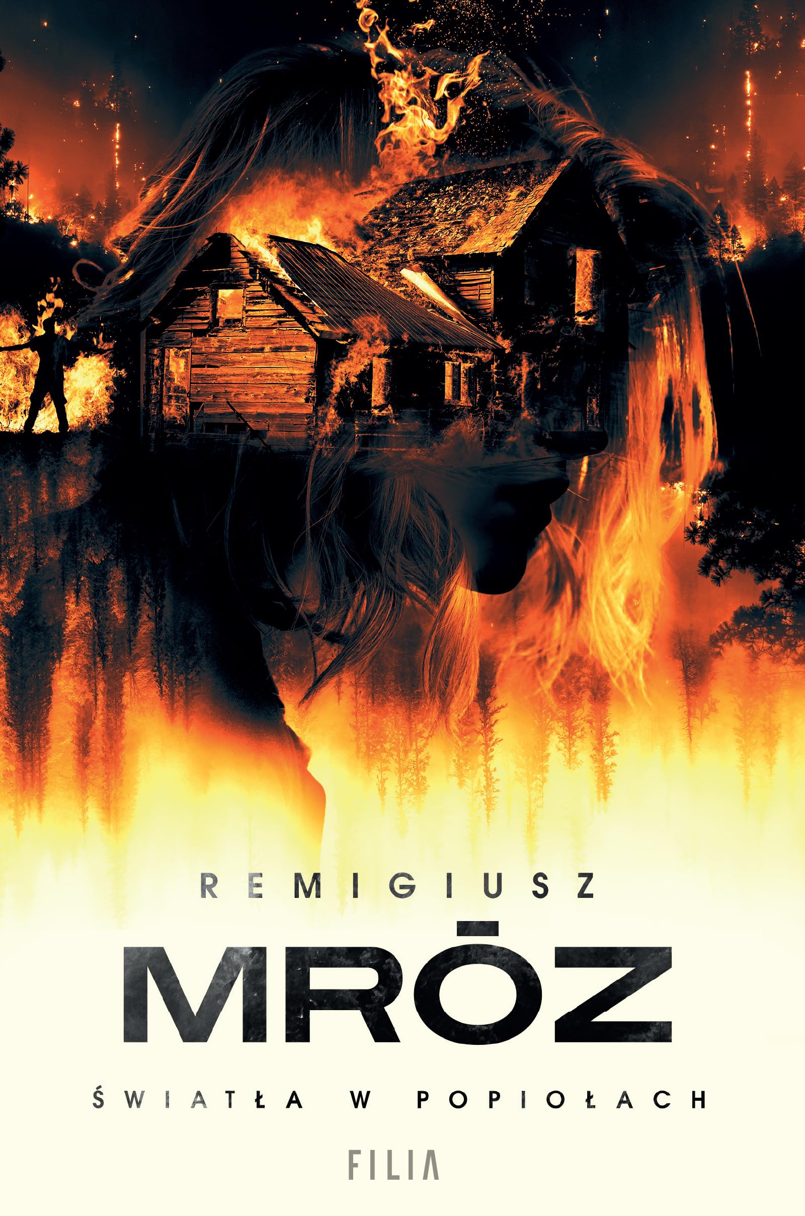 Libro: Światła w popiołach