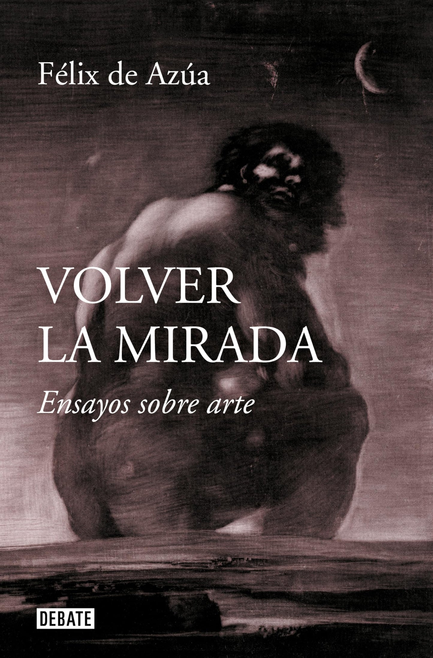 Libro: Volver la mirada: Ensayos sobre arte