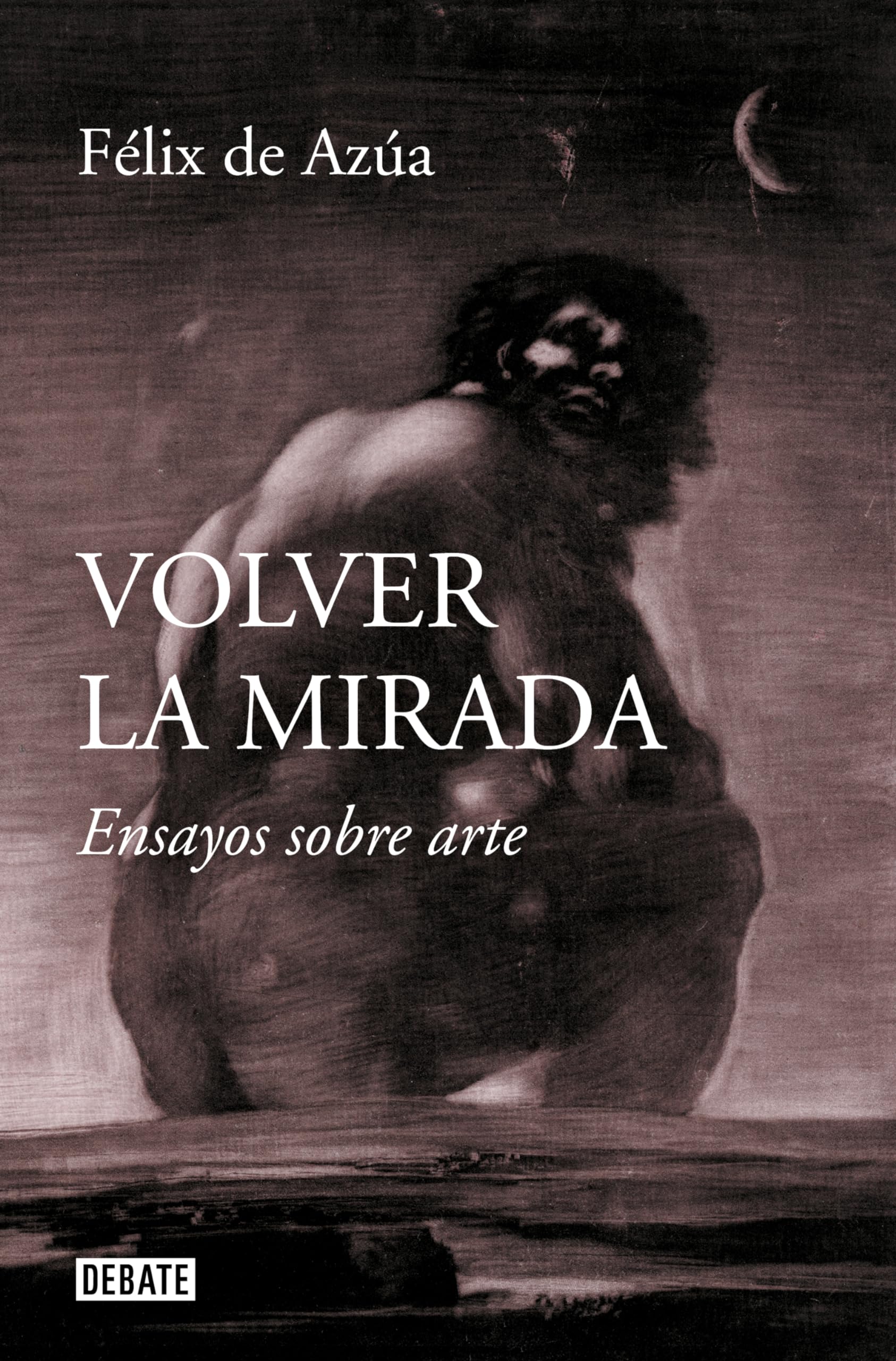 Libro: Volver la mirada: Ensayos sobre arte