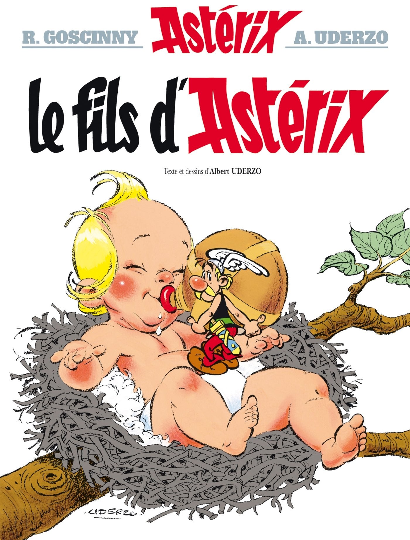 Libro: Le Fils D'Asterix