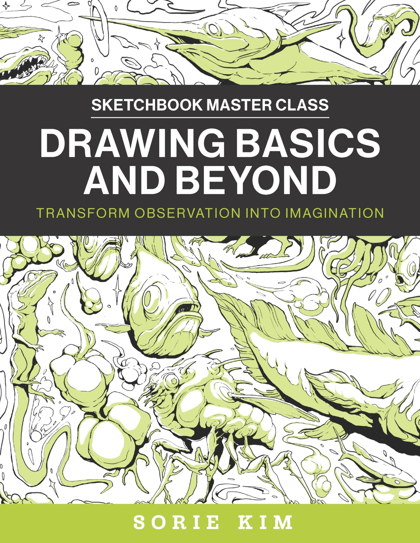 Libro: Drawing Basics and Beyond: Transform Observation into Imagination (Sketchbook Master Class)