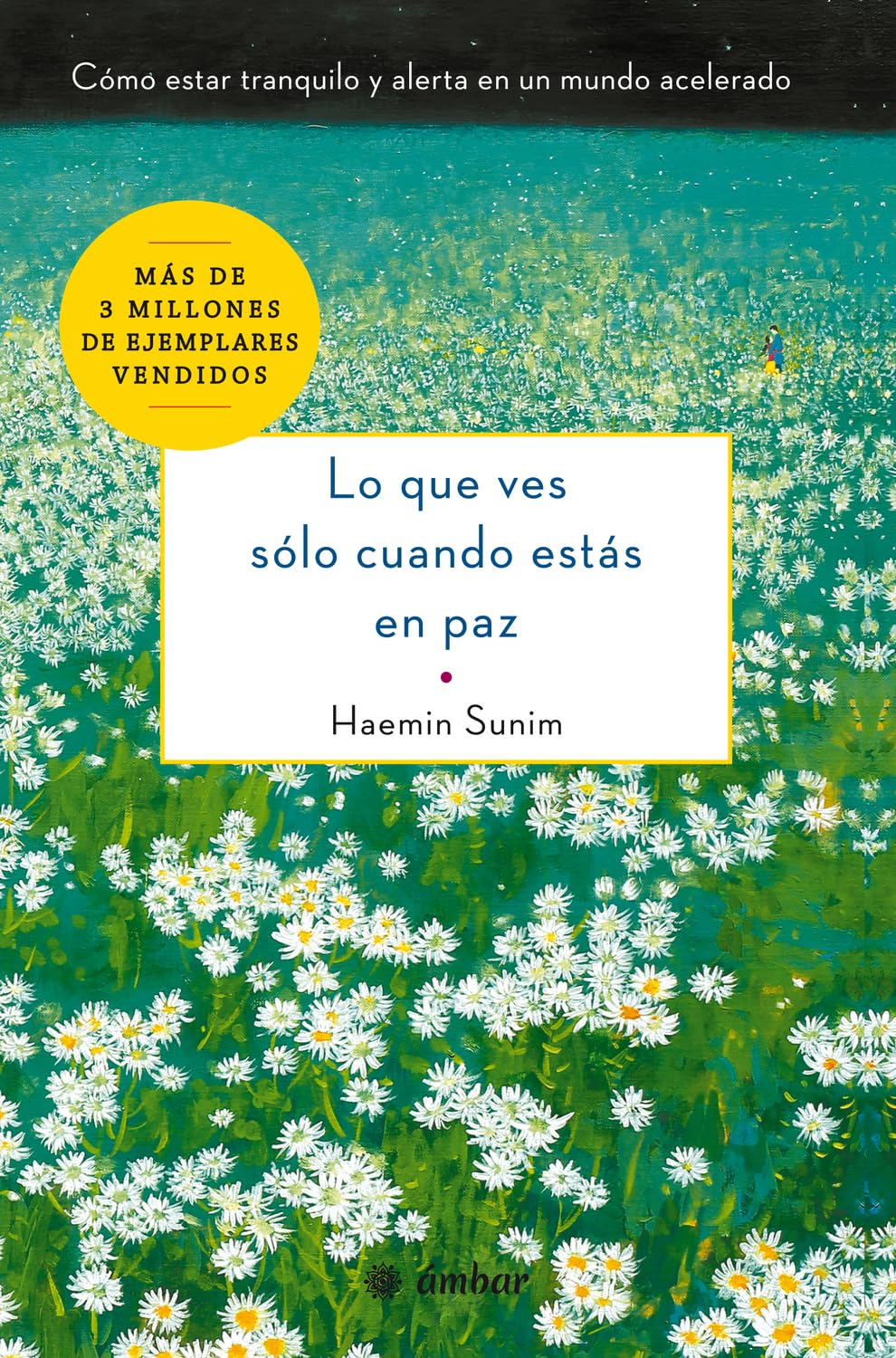 Libro: Lo que ves sólo cuando estás en paz: Cómo estar tranquilo y alerta en un mundo acelerado (Spanish Edition)