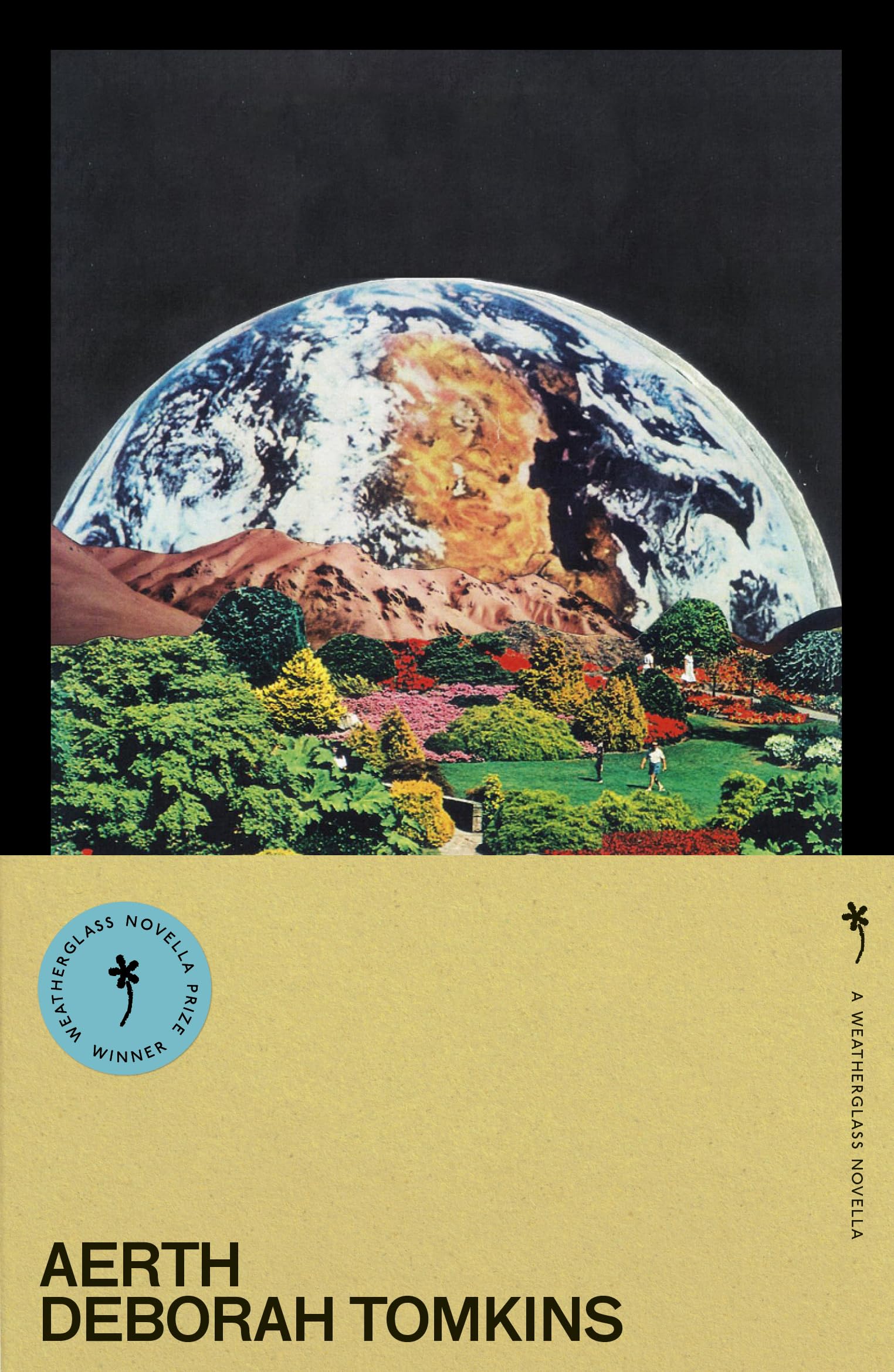 Libro: Weatherglass Books Aerth.