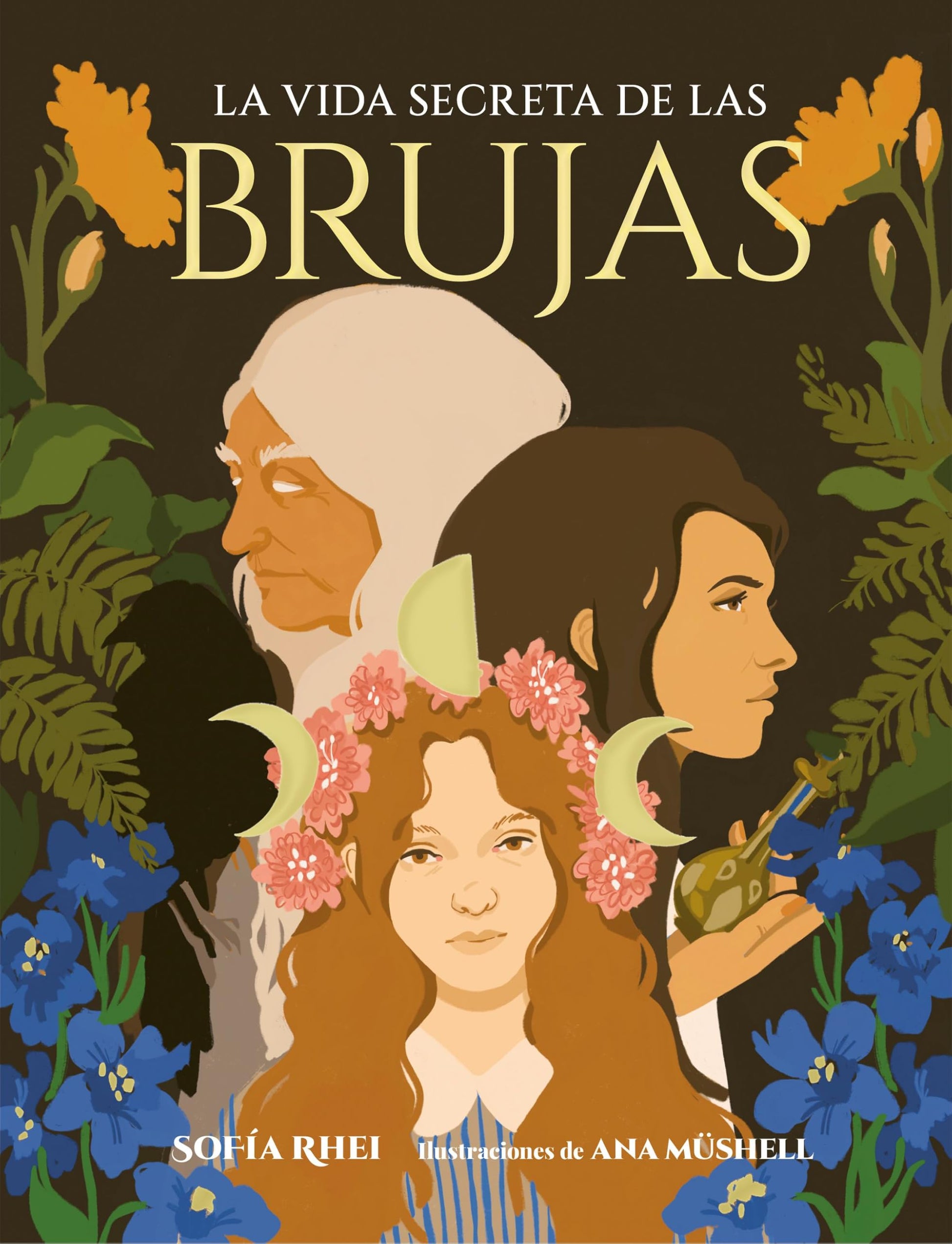 Libro: La vida secreta de las brujas (Criaturas extraordinarias)