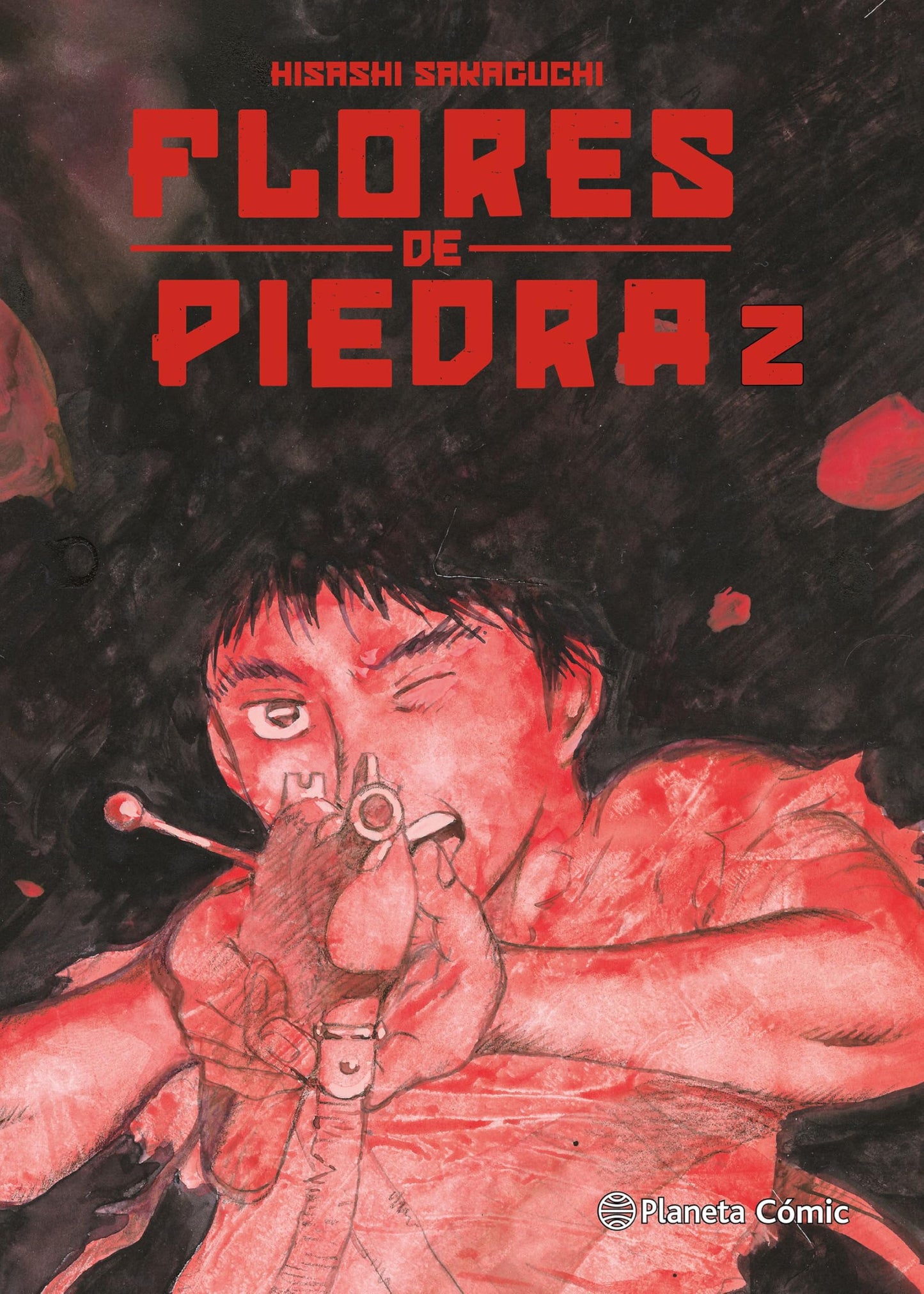 Libro: Flores de piedra nº 02/05