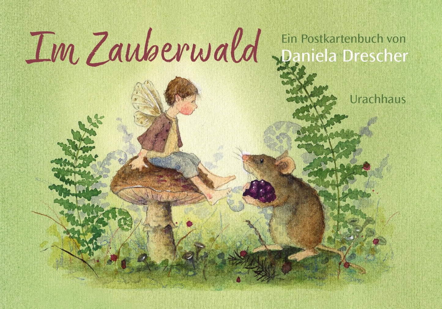 Libro: Postkartenbuch 'Im Zauberwald'