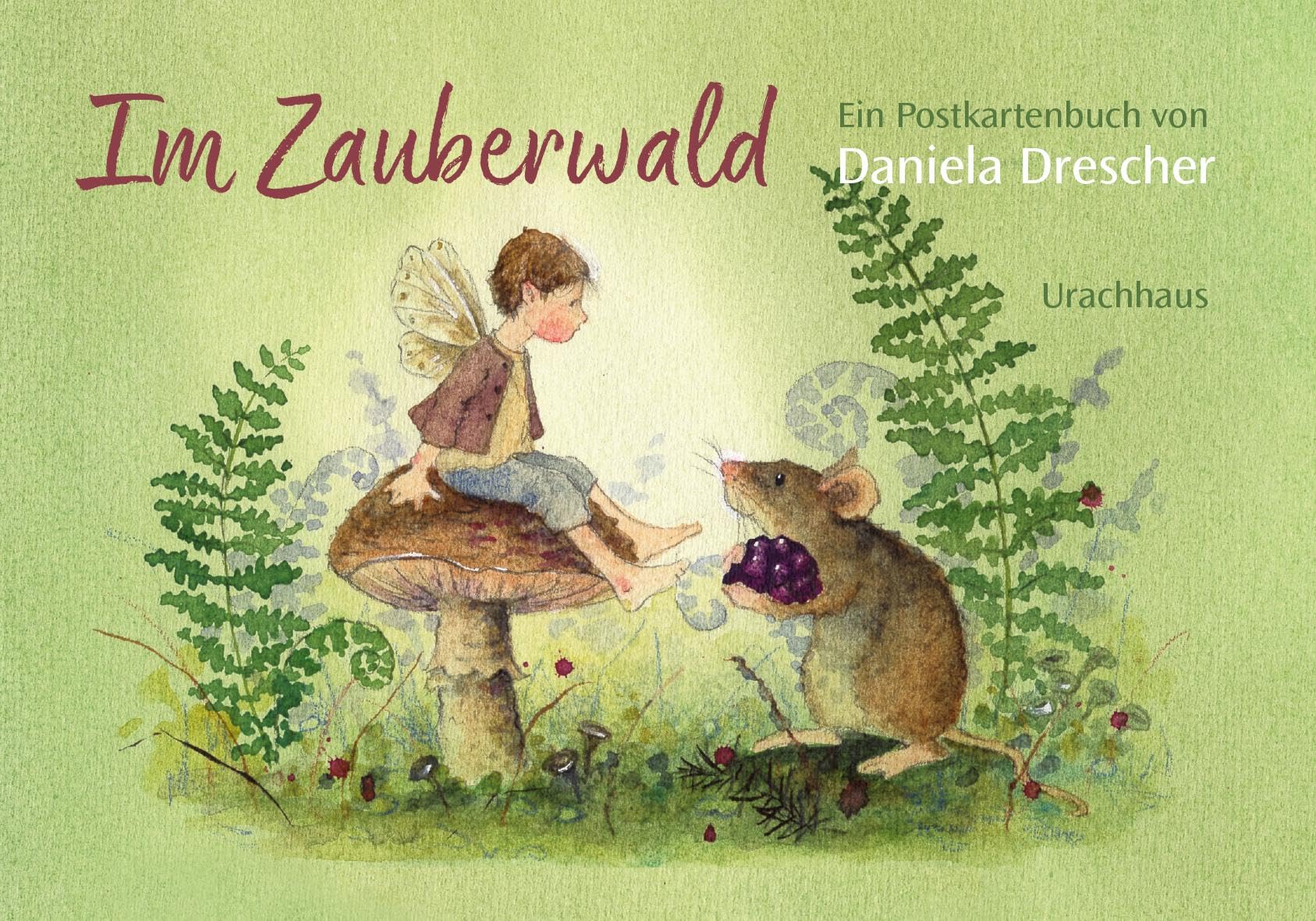 Libro: Postkartenbuch 'Im Zauberwald'