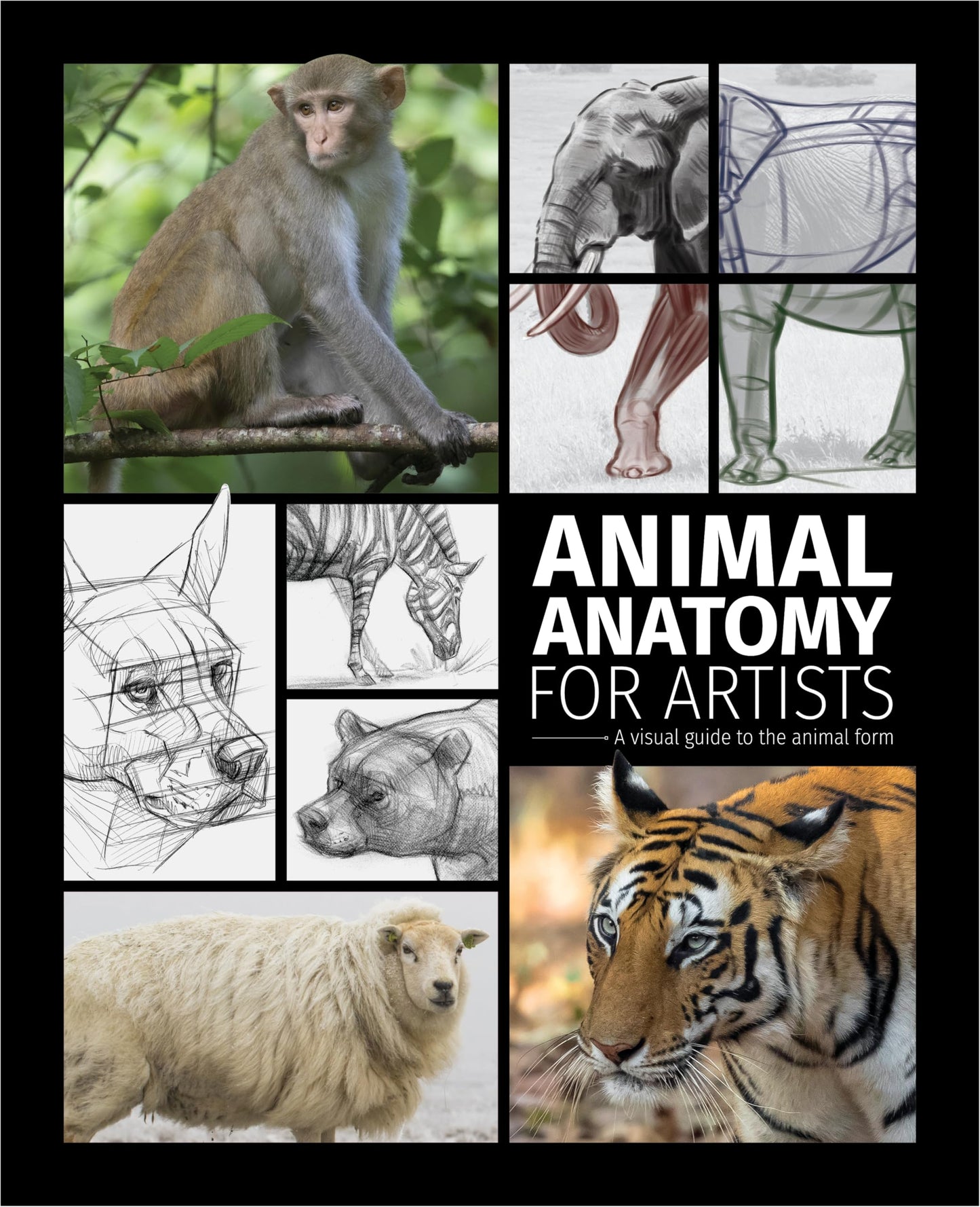Libro: Animal Anatomy for Artists: A visual guide to the animal form