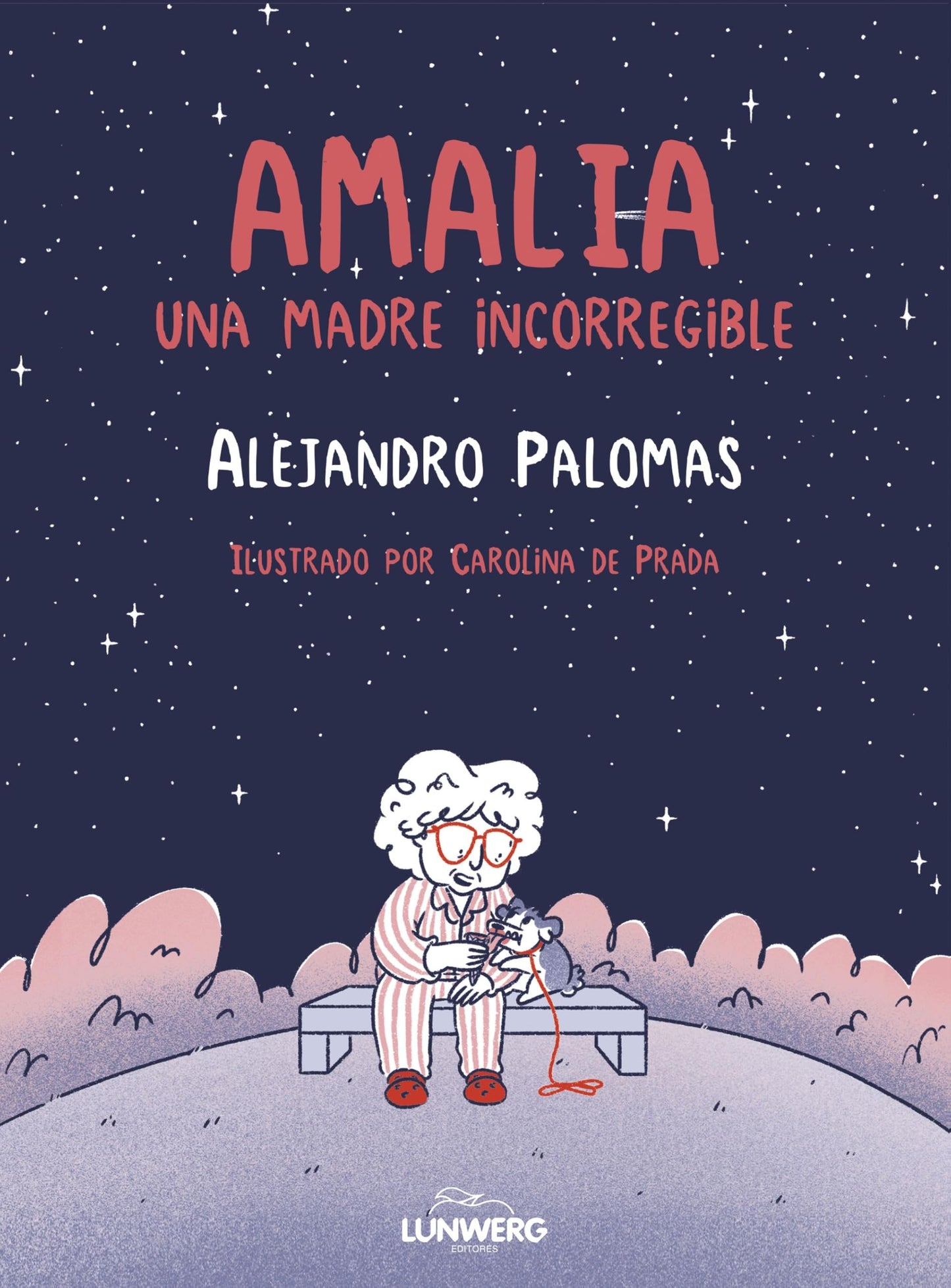 Libro: Amalia: Una madre incorregible