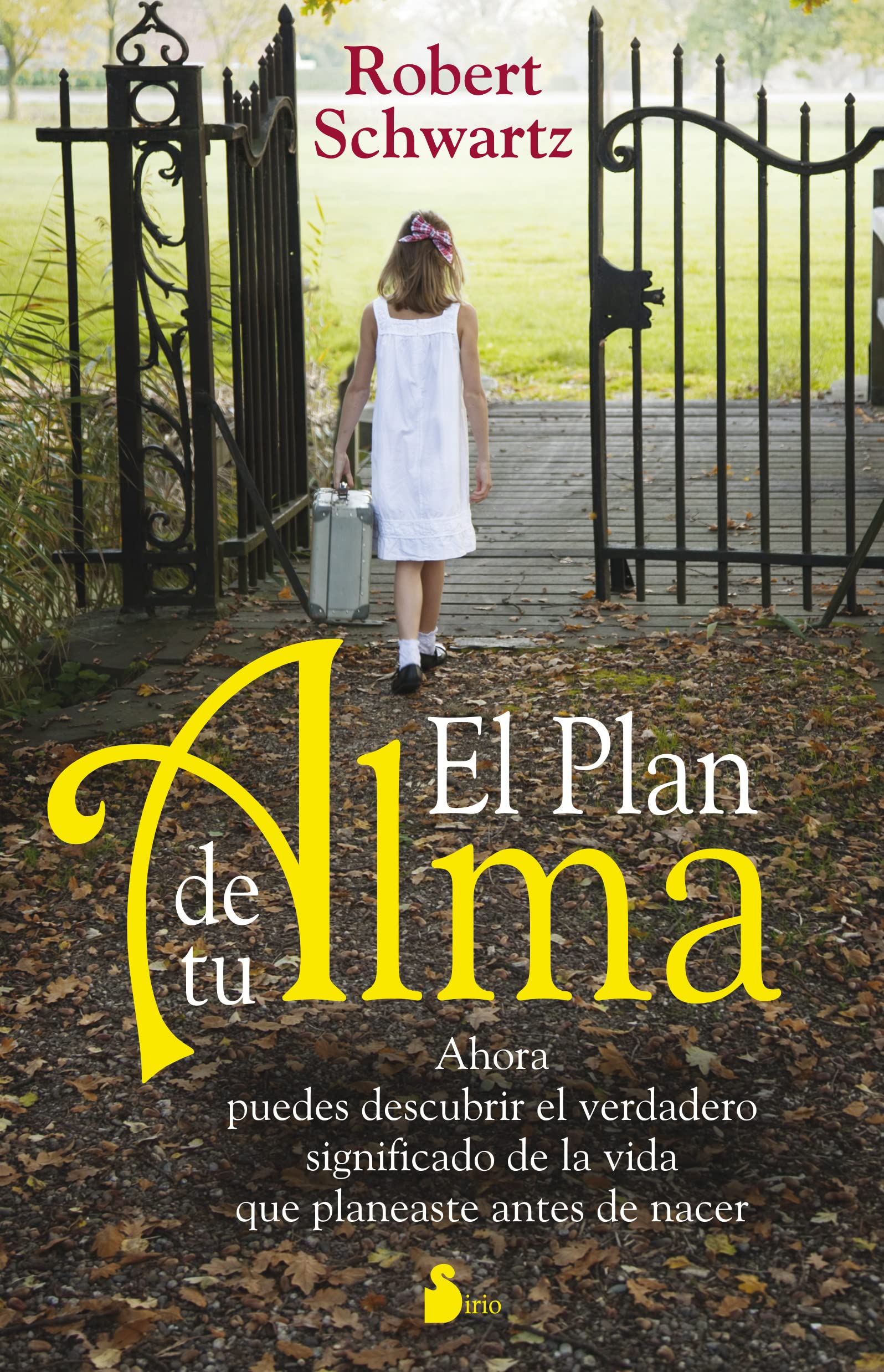 El plan de tu alma: Ahora puedes descubrir el verdadero significado de la vida que planeaste antes de nacer.