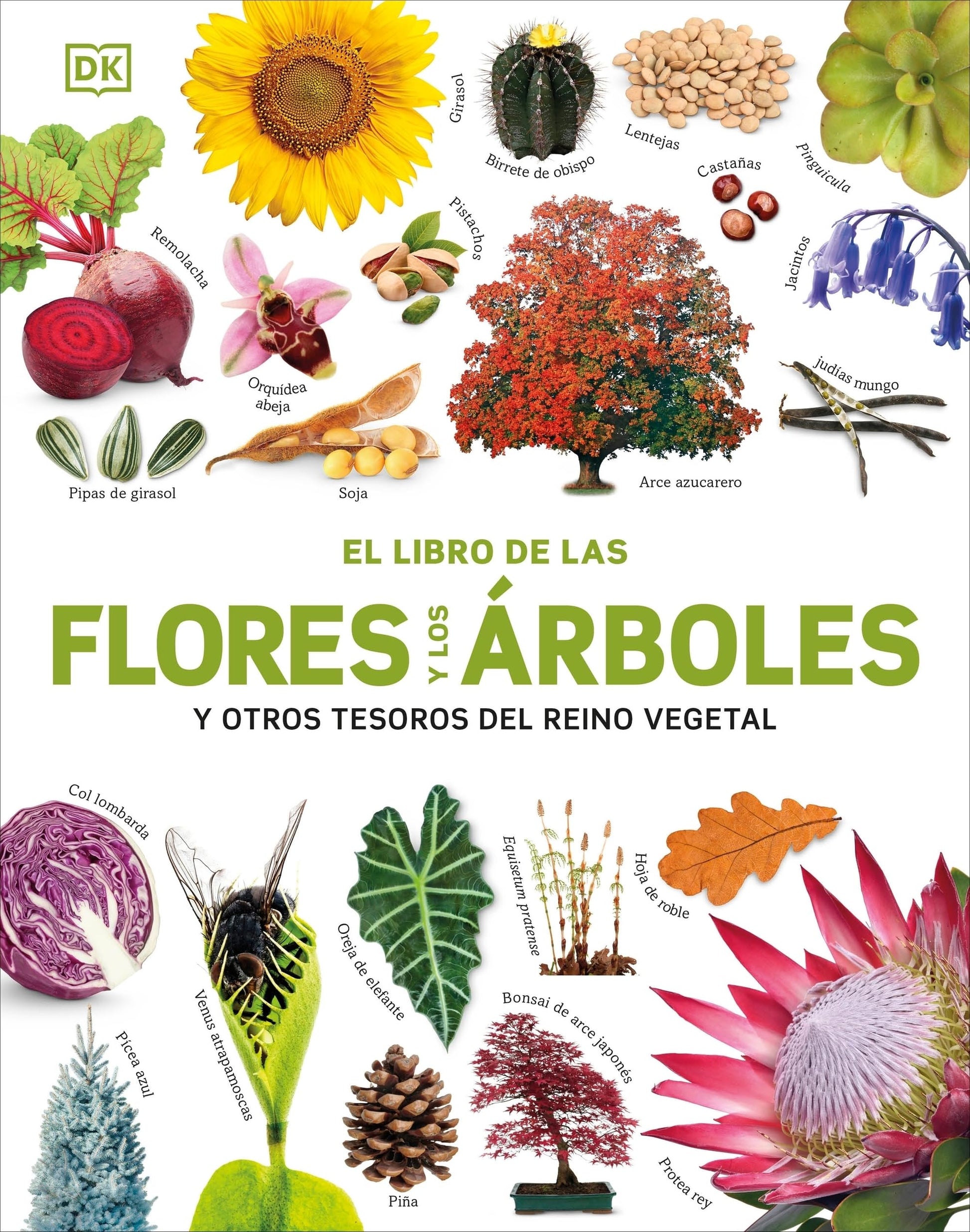 Libro: El libro de las flores y los árboles: ... y otros tesoros del reino vegetal (Enciclopedia visual juvenil)