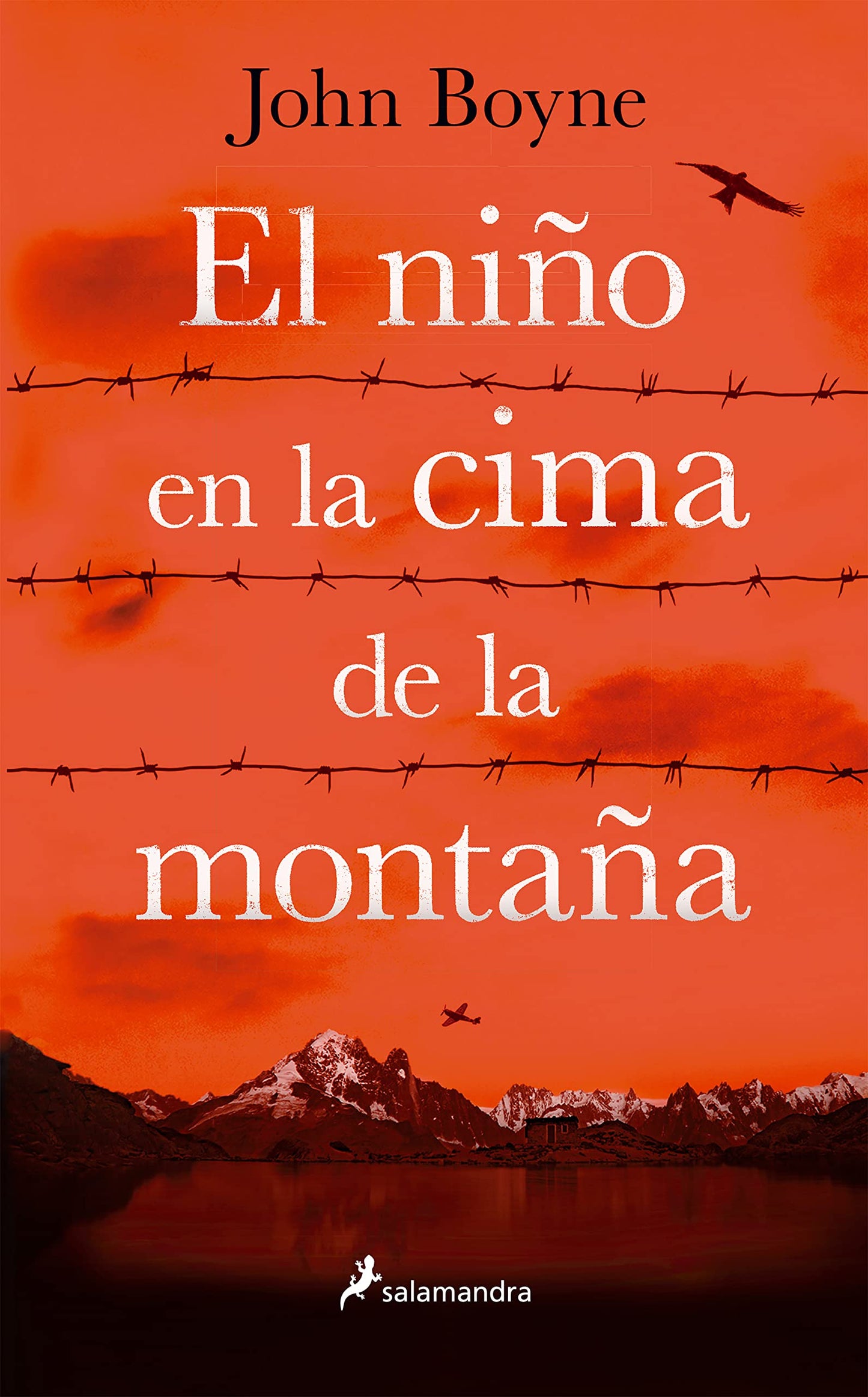 Libro: EL NIÑO EN LA CIMA DE LA MONTAÑA (S)