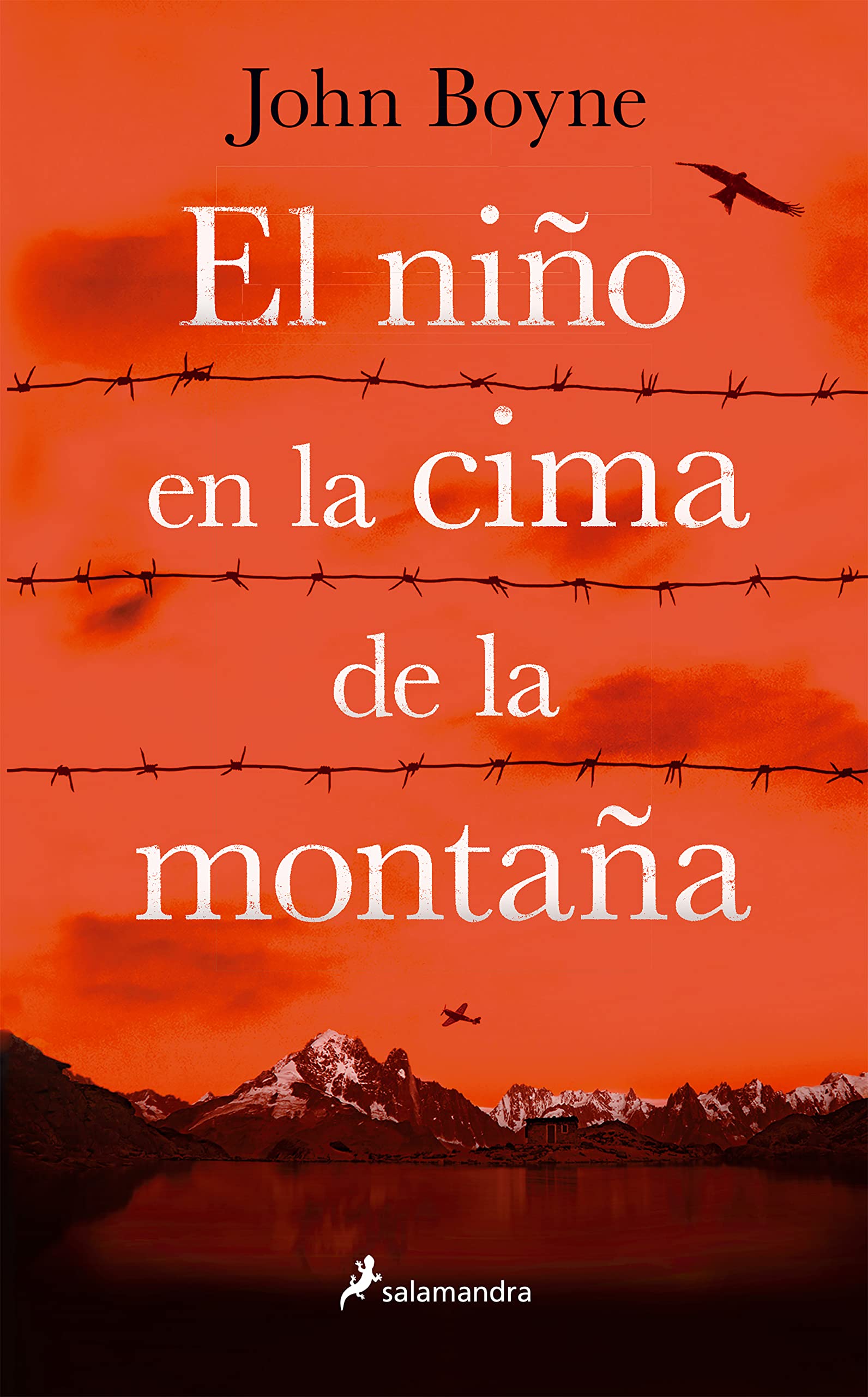 Libro: EL NIÑO EN LA CIMA DE LA MONTAÑA (S)