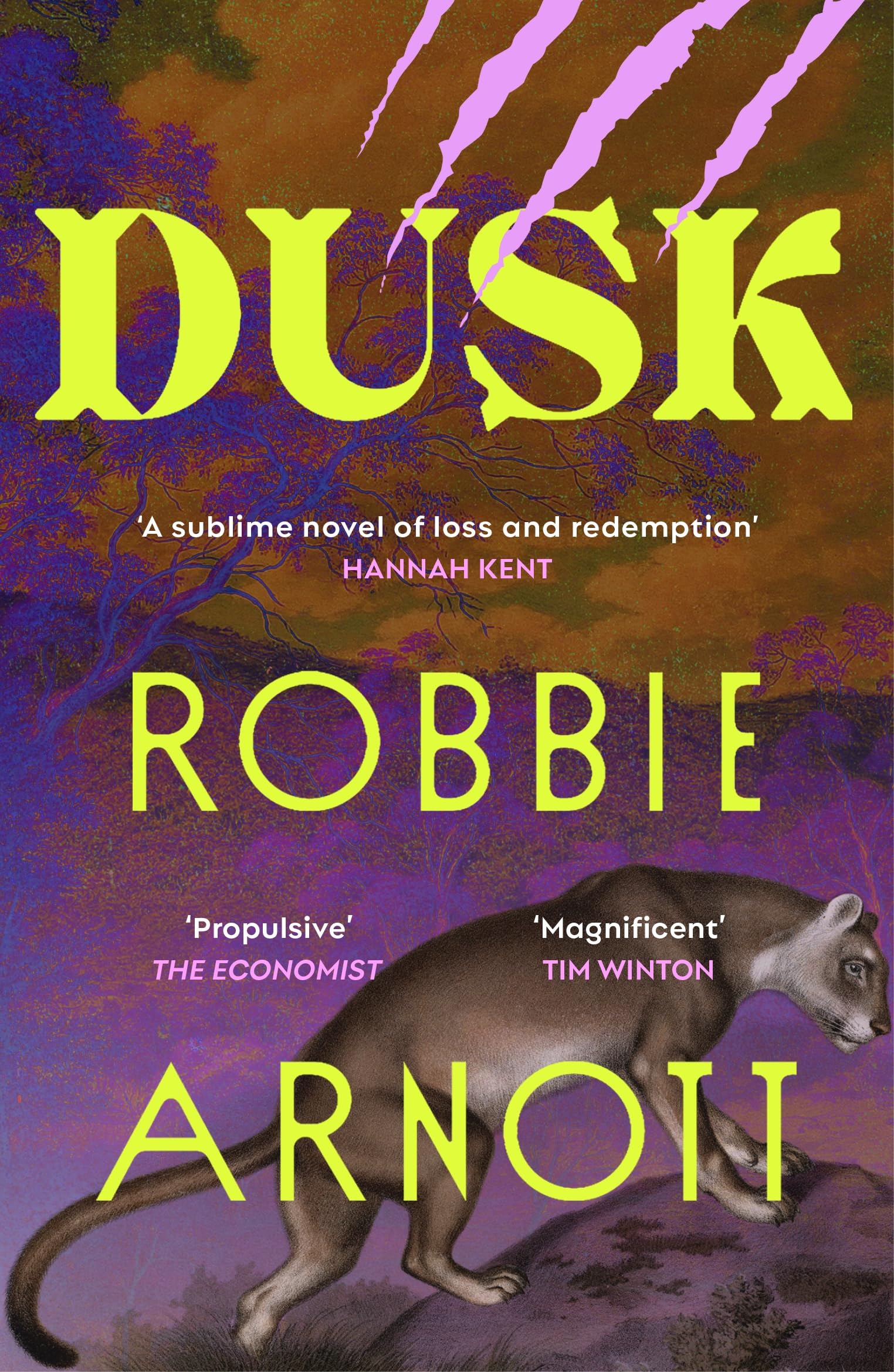 Libro: Dusk