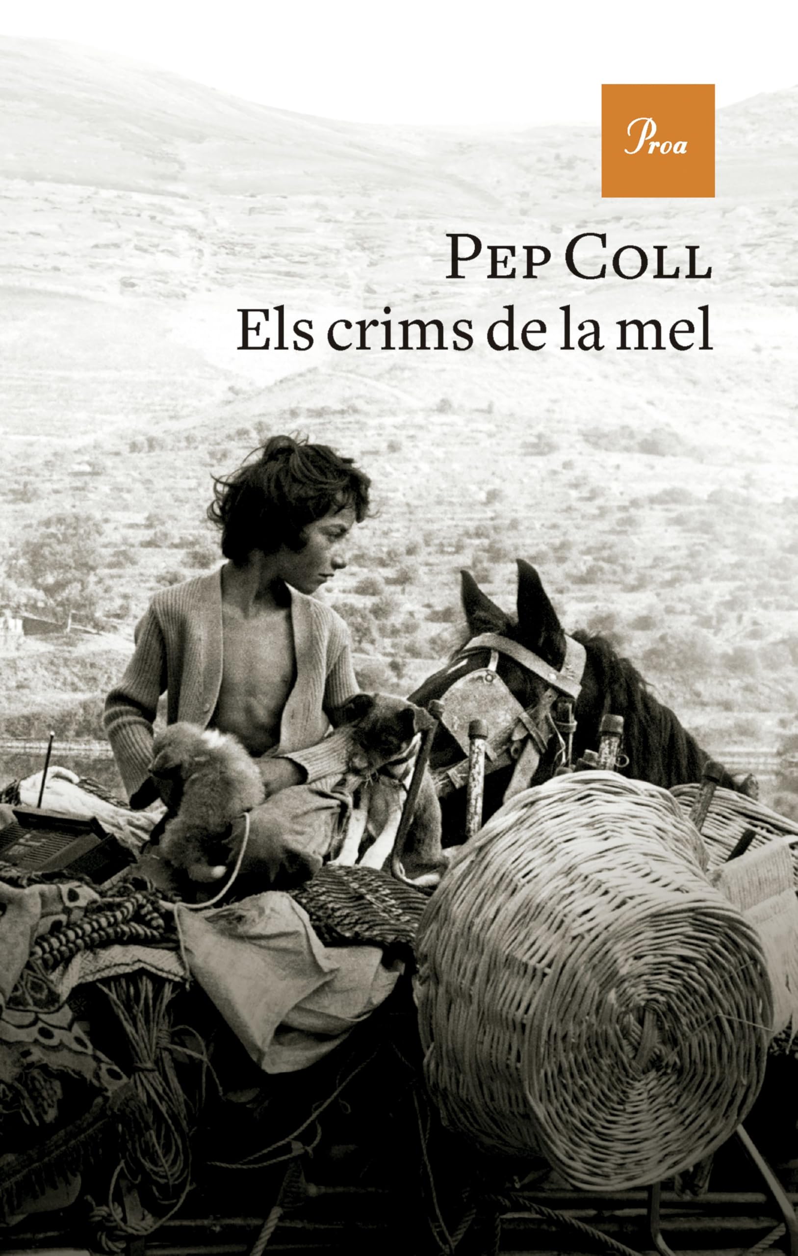 Libro: Els crims de la mel
