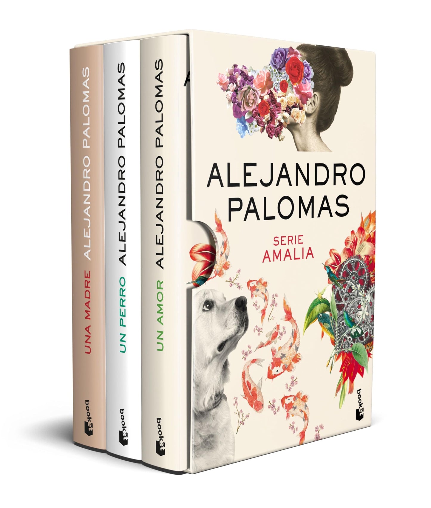 Libro: Estuche Serie Amalia: Incluye Un perro, Un amor y Una madre (Novela)