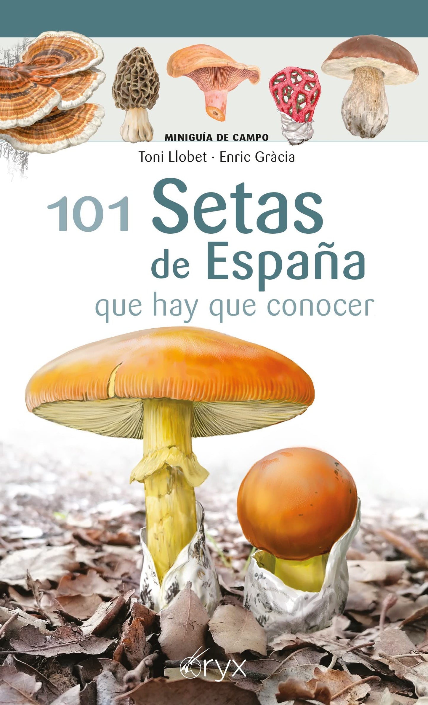 Libro: 101 Setas De España - Que Hay Que Conocer (Miniguía de campo)