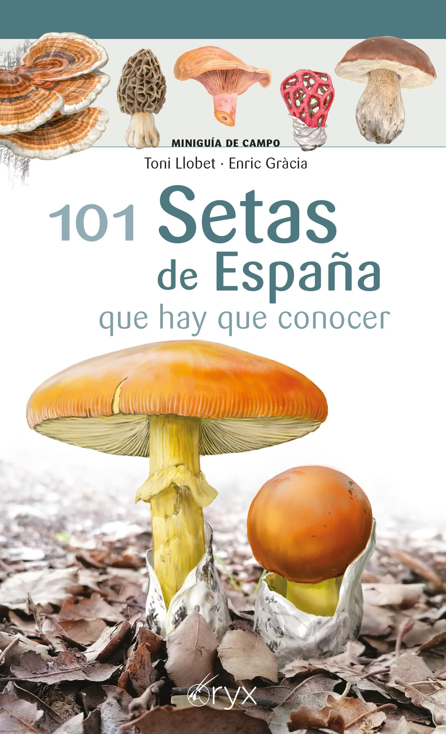 Libro: 101 Setas De España - Que Hay Que Conocer (Miniguía de campo)