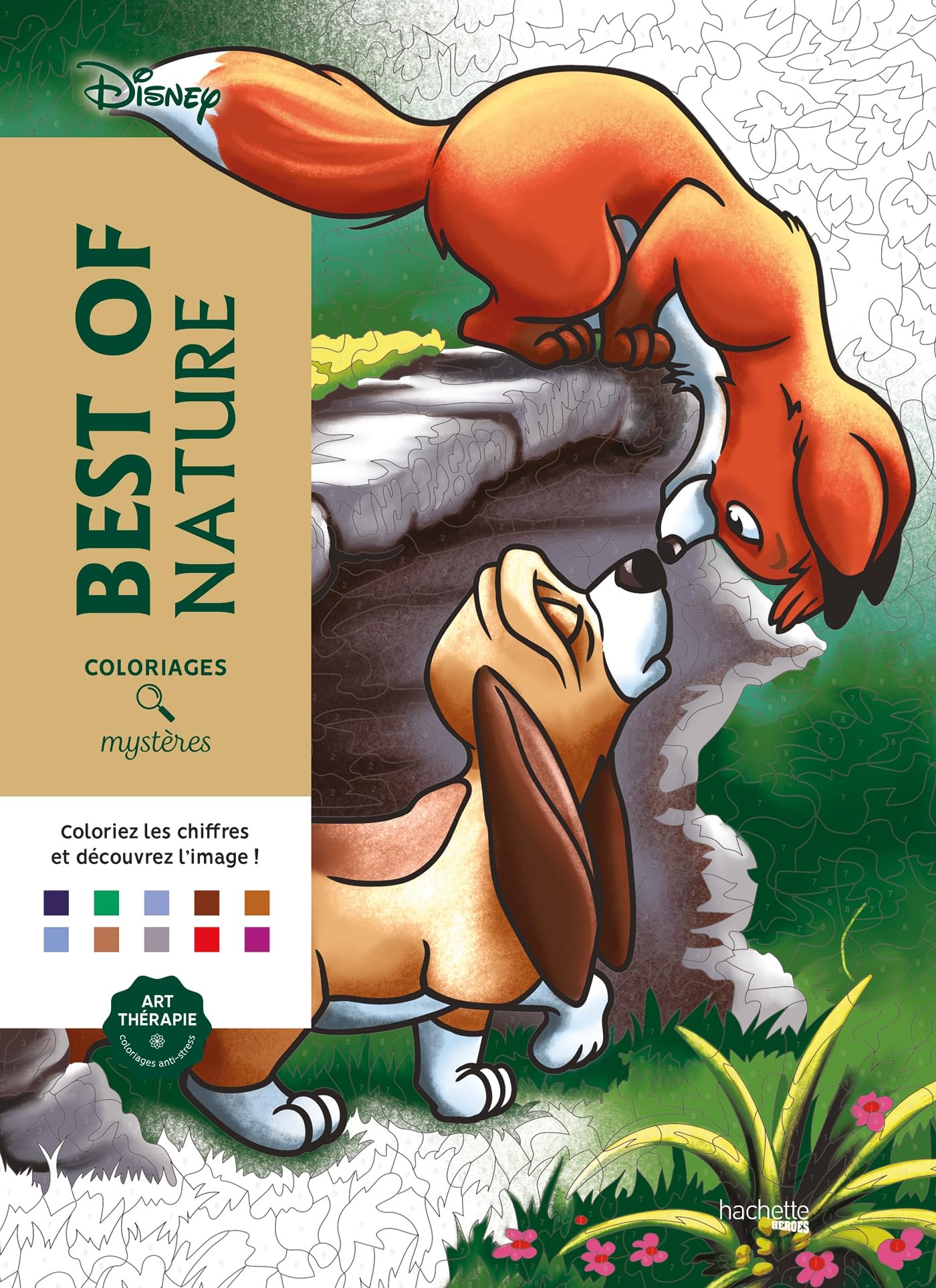 Libro: Coloriages mystères Disney - Best of Nature