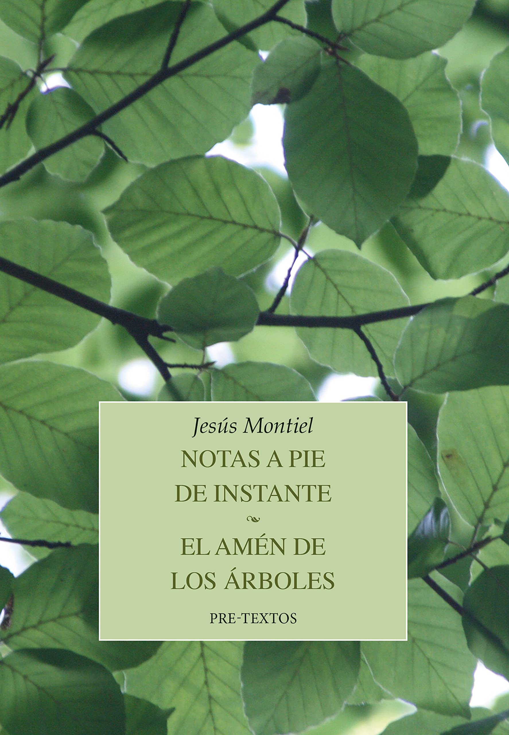 Libro: Notas a pie de instante / El amén de los árboles