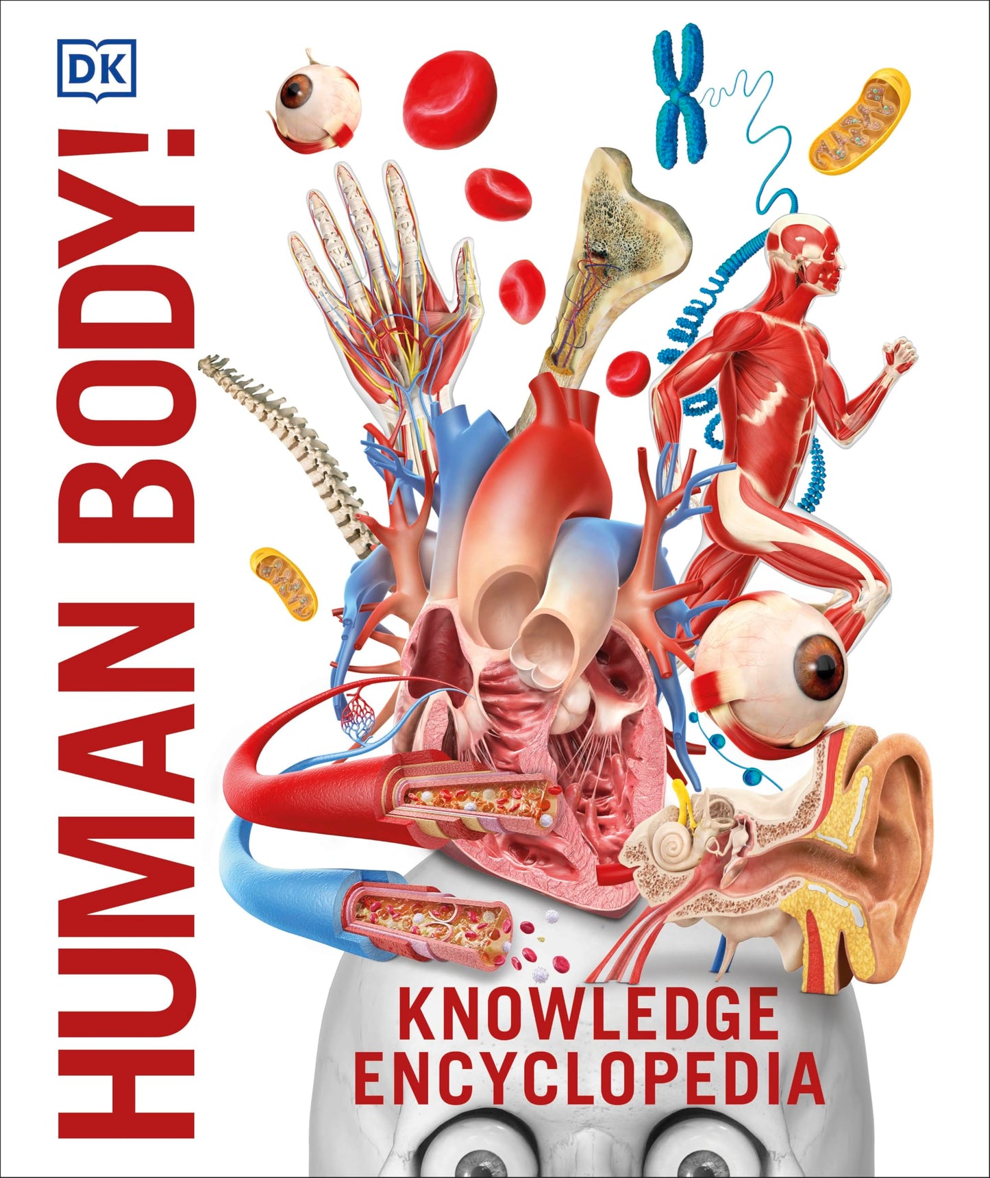 Libro: Knowledge Encyclopedia Human Body! (Knowledge Encyclopedias): Human Anatomy as You've Never Seen It Before