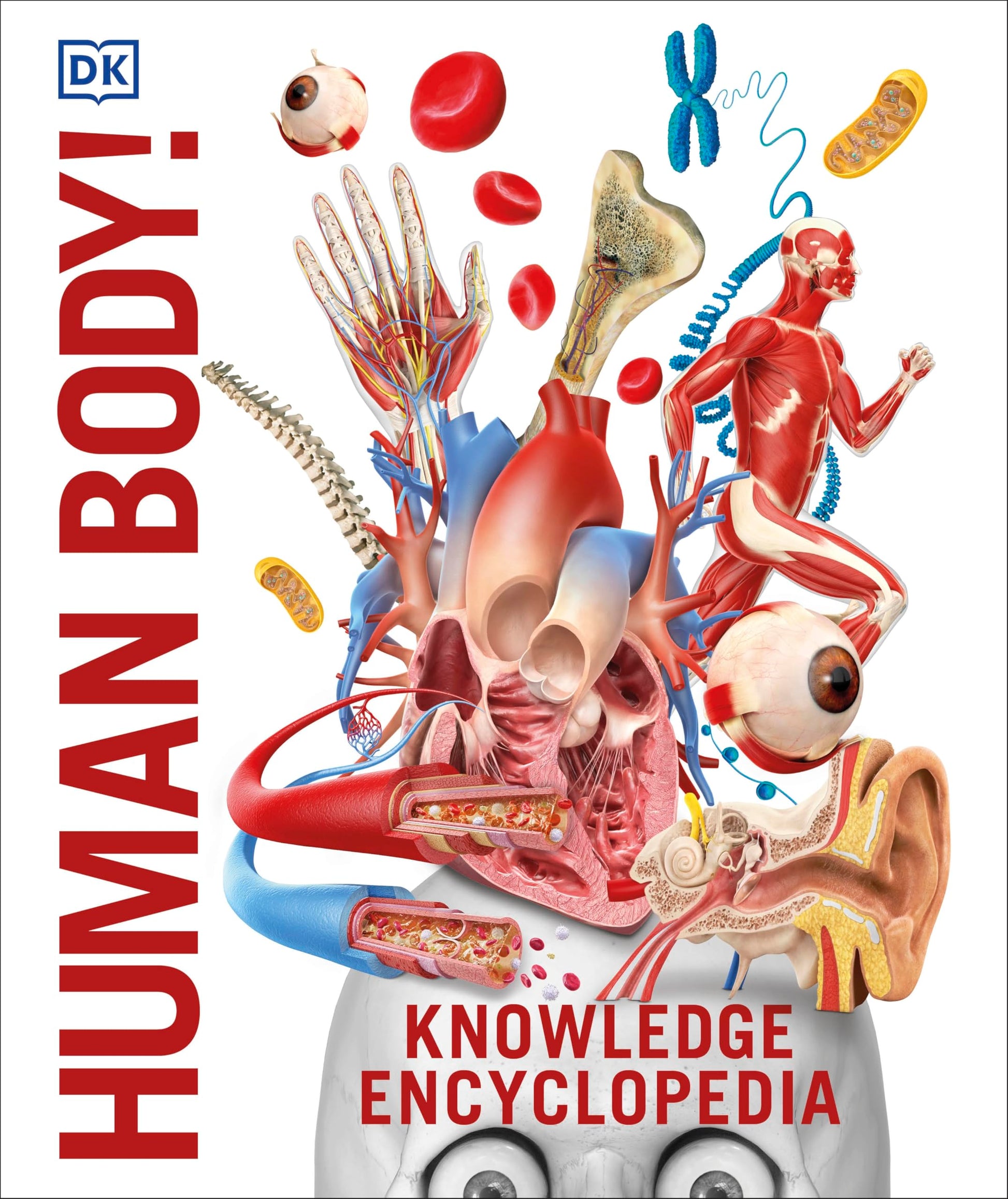 Libro: Knowledge Encyclopedia Human Body! (Knowledge Encyclopedias): Human Anatomy as You've Never Seen It Before