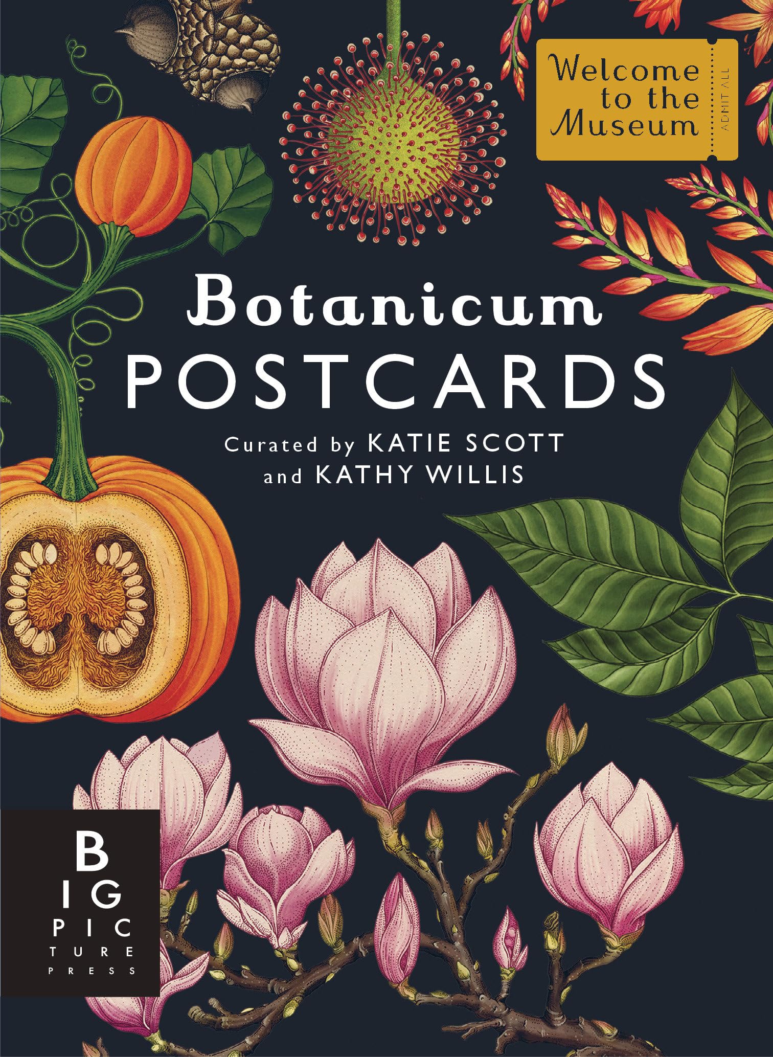 Libro: Botanicum Postcard Box Set (Welcome to the Museum)