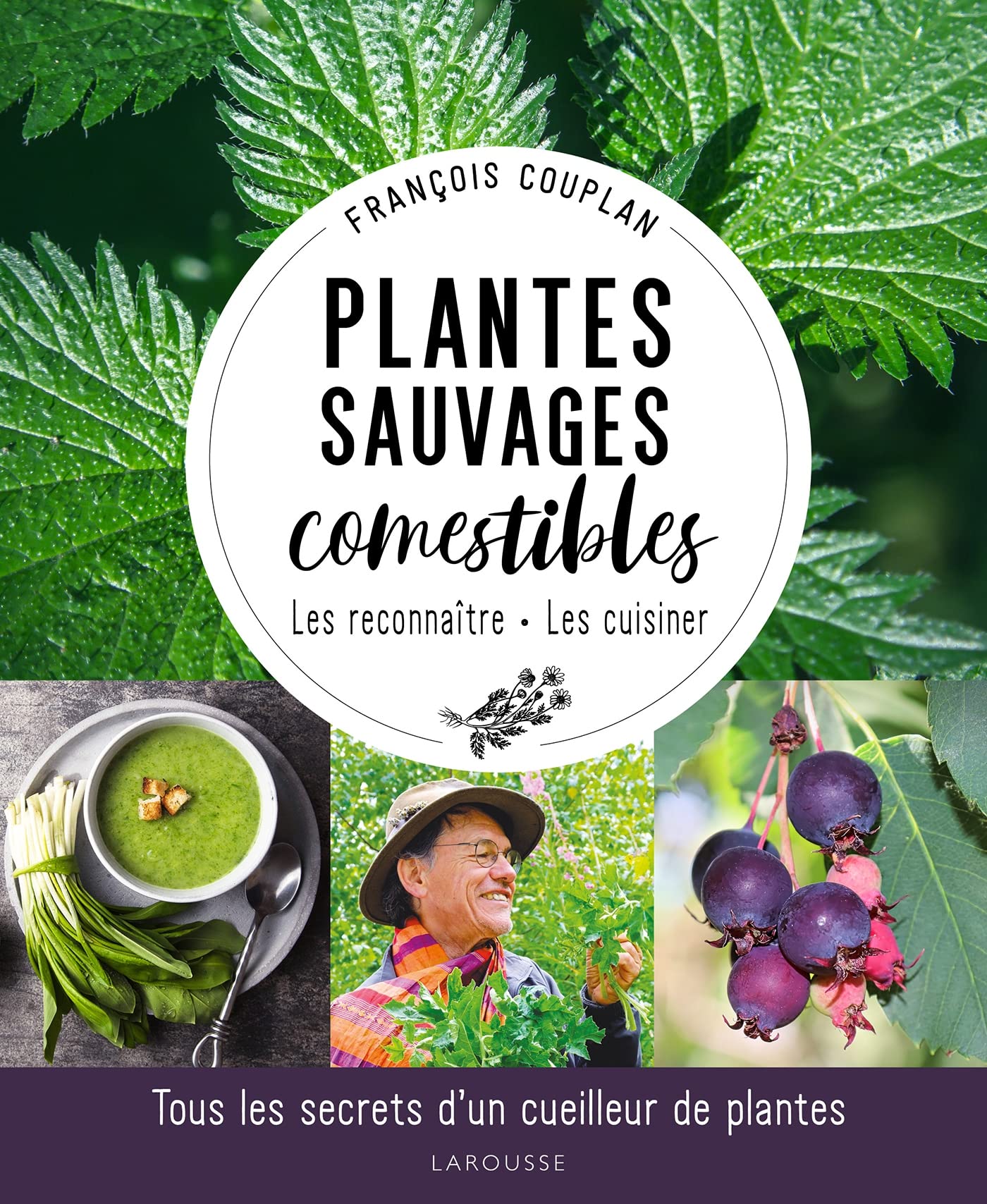 Libro: Plantes sauvages comestibles: Tous les secrets d'un cueilleur de plantes