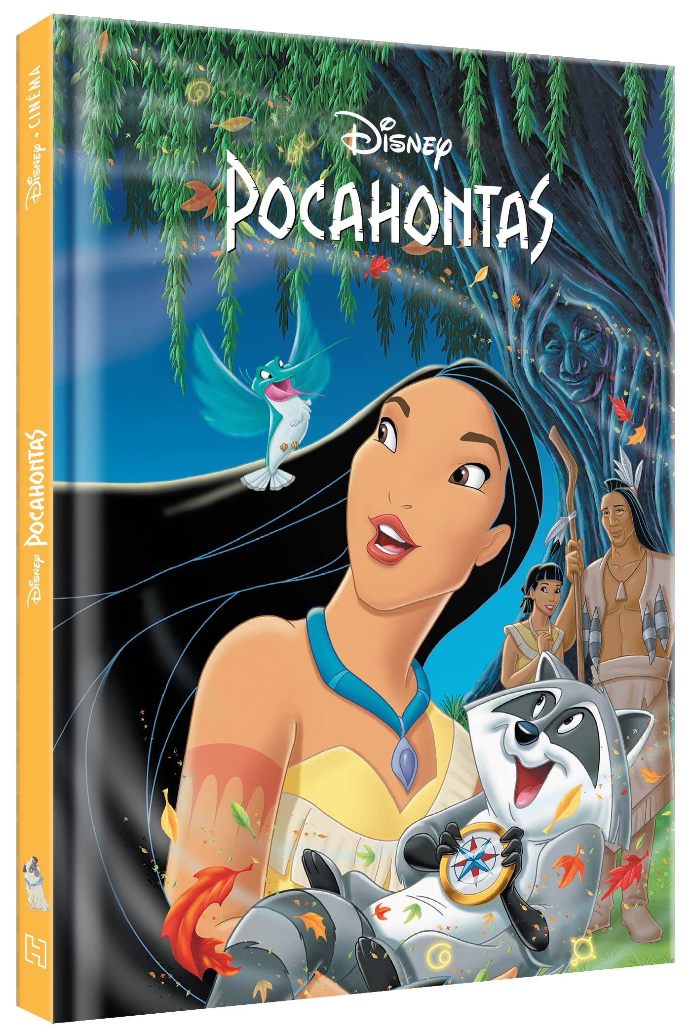 Libro: POCAHONTAS - Disney Cinéma - L'histoire du film - Disney Princesses