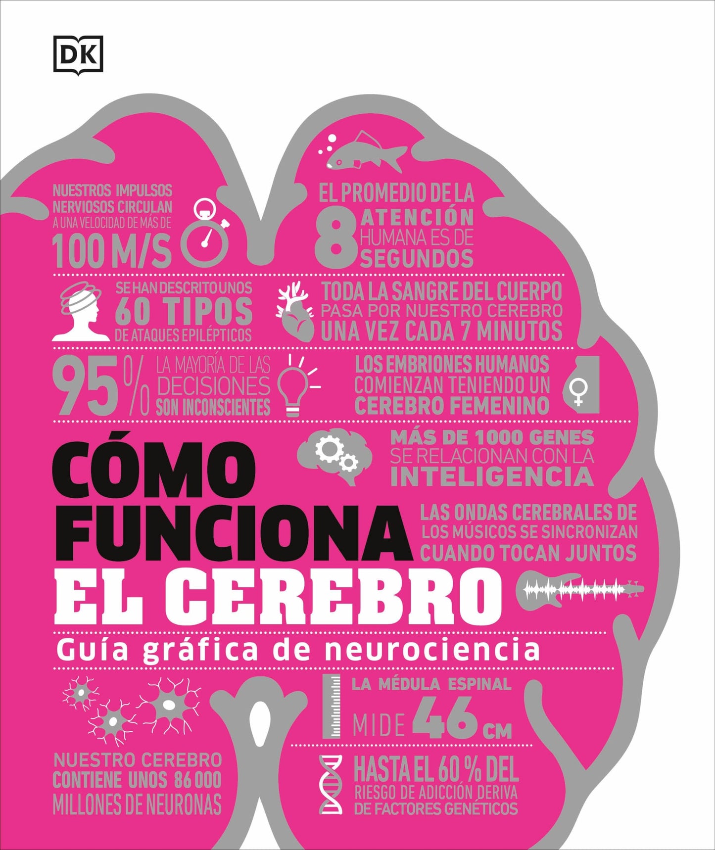 Libro: Cómo funciona el cerebro (How the Brain Works) (DK How Stuff Works) (Spanish Edition)