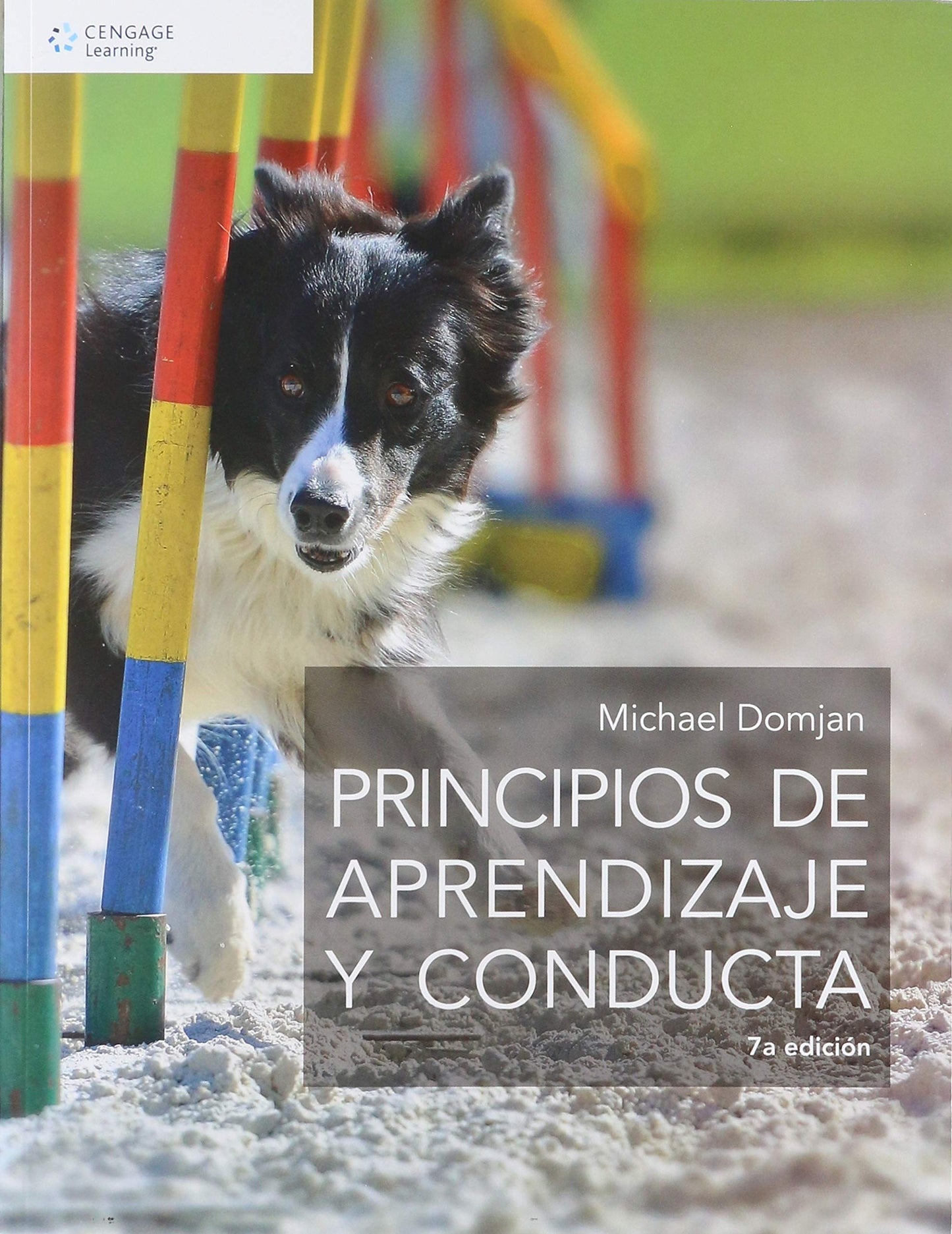 PRINCIPIOS DE APRENDIZAJE Y CONDUCTA (CENGAGE LEARNING)